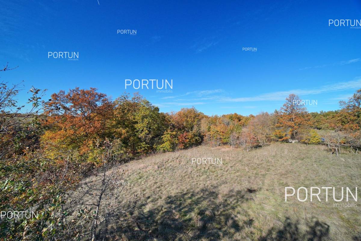 Plot of land for Sale in Žminj - 40532 - 01