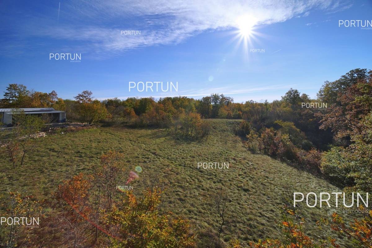 Plot of land for Sale in Žminj - 40532 - 05