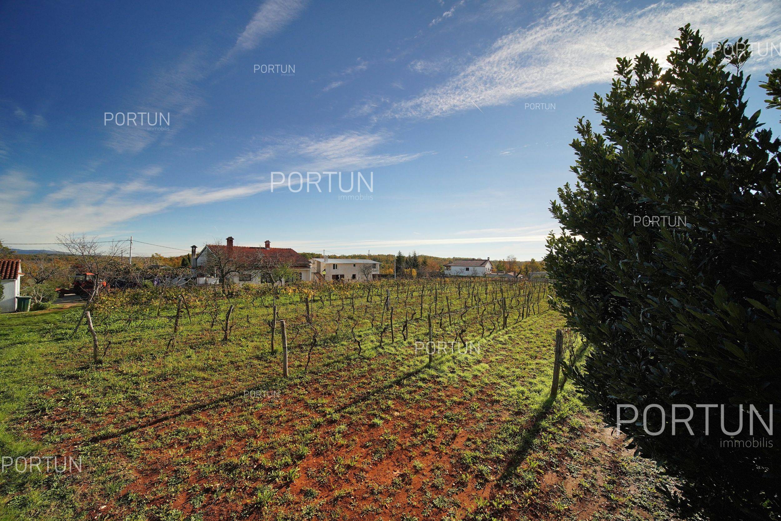Terreno in vendita a Gimino - 40533 - 01