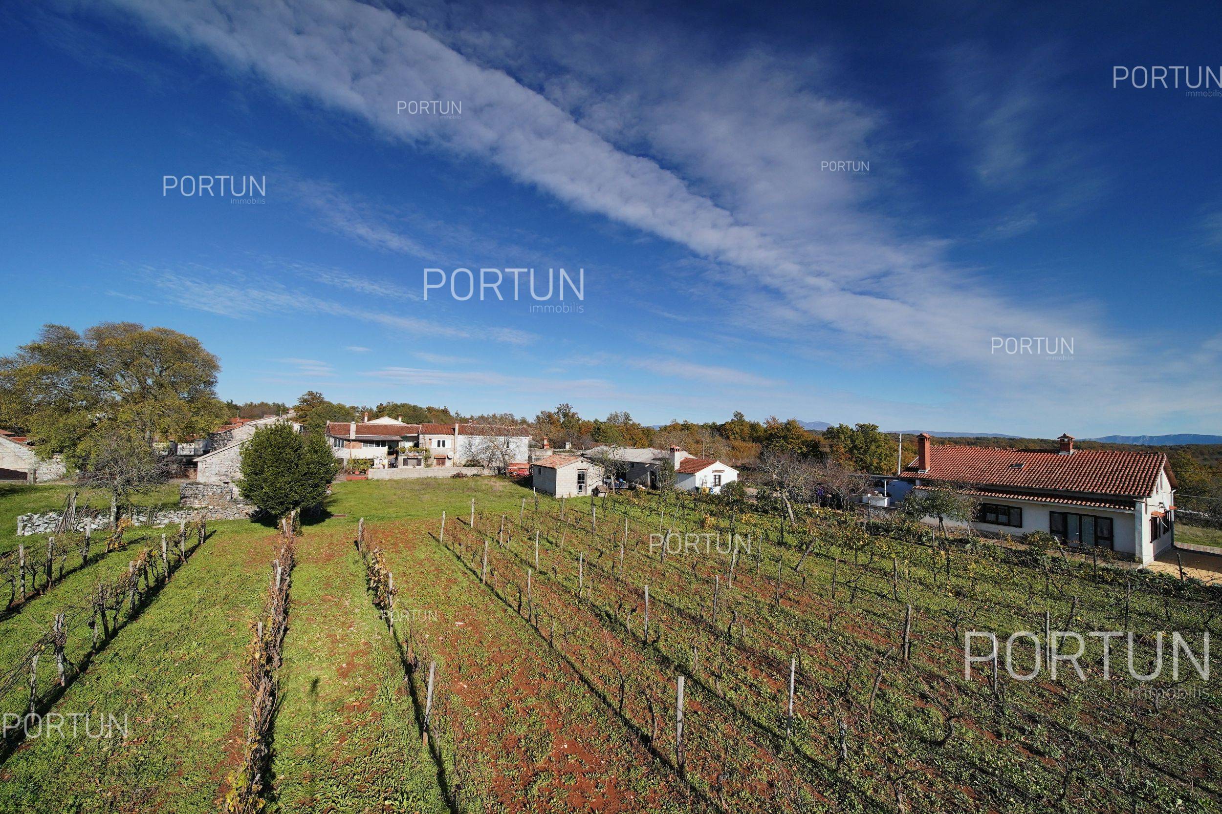 Terreno in vendita a Gimino - 40533 - 03