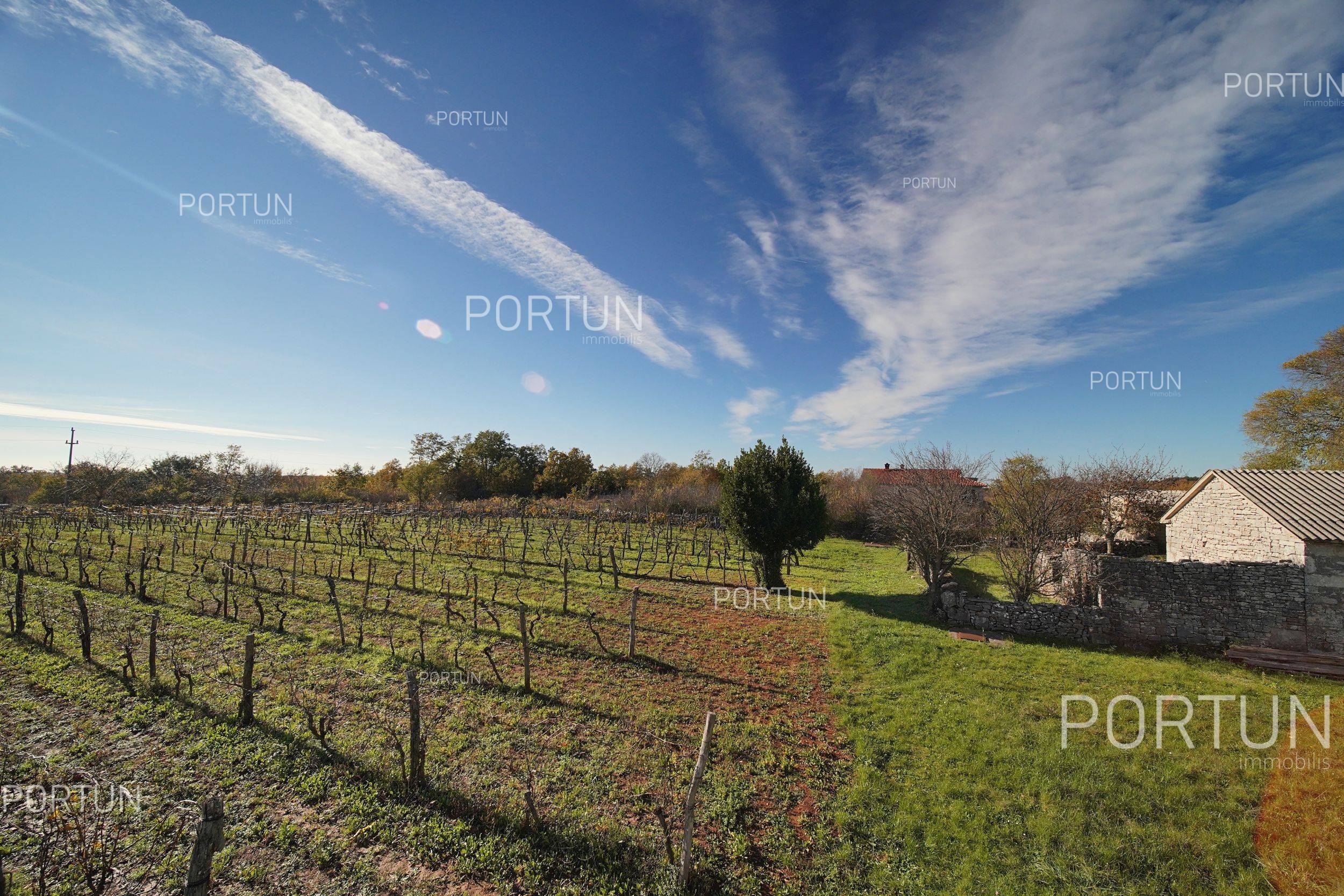 Terreno in vendita a Gimino - 40533 - 04