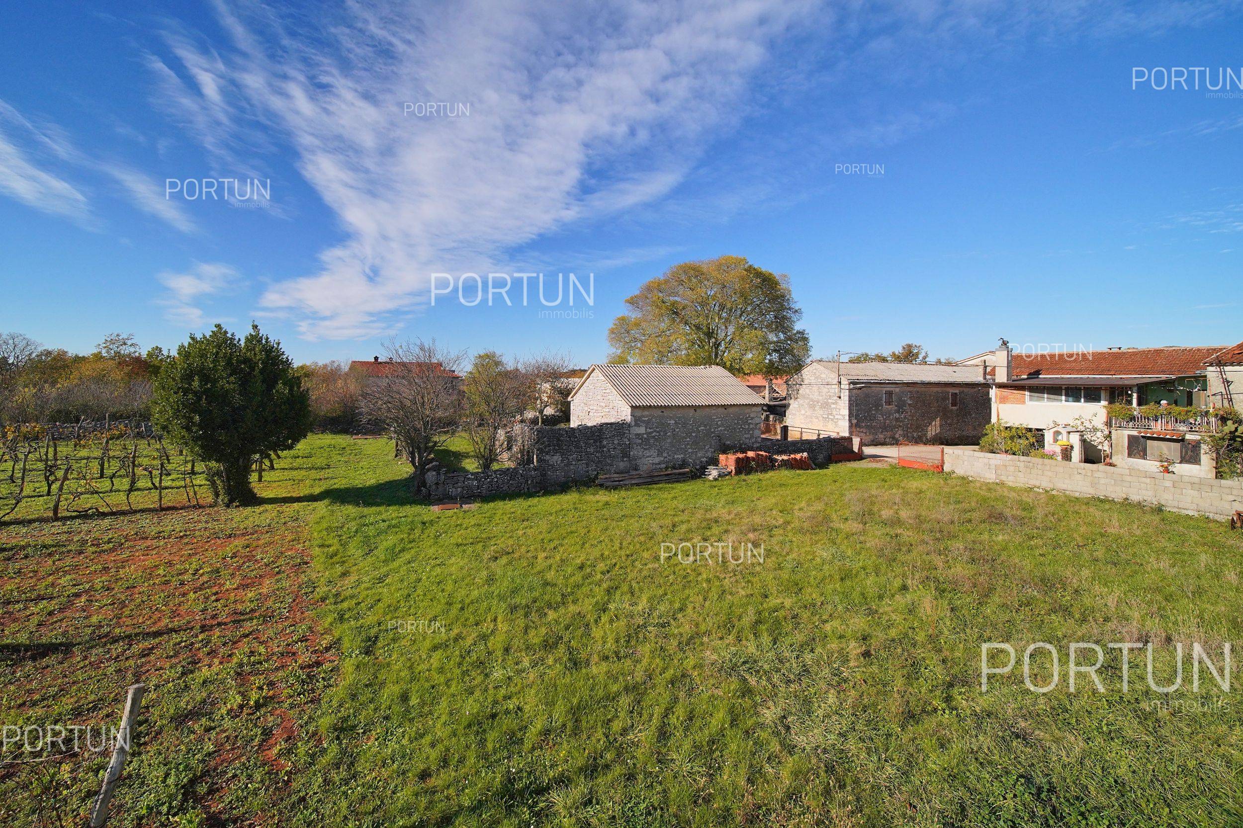 Terreno in vendita a Gimino - 40533 - 05