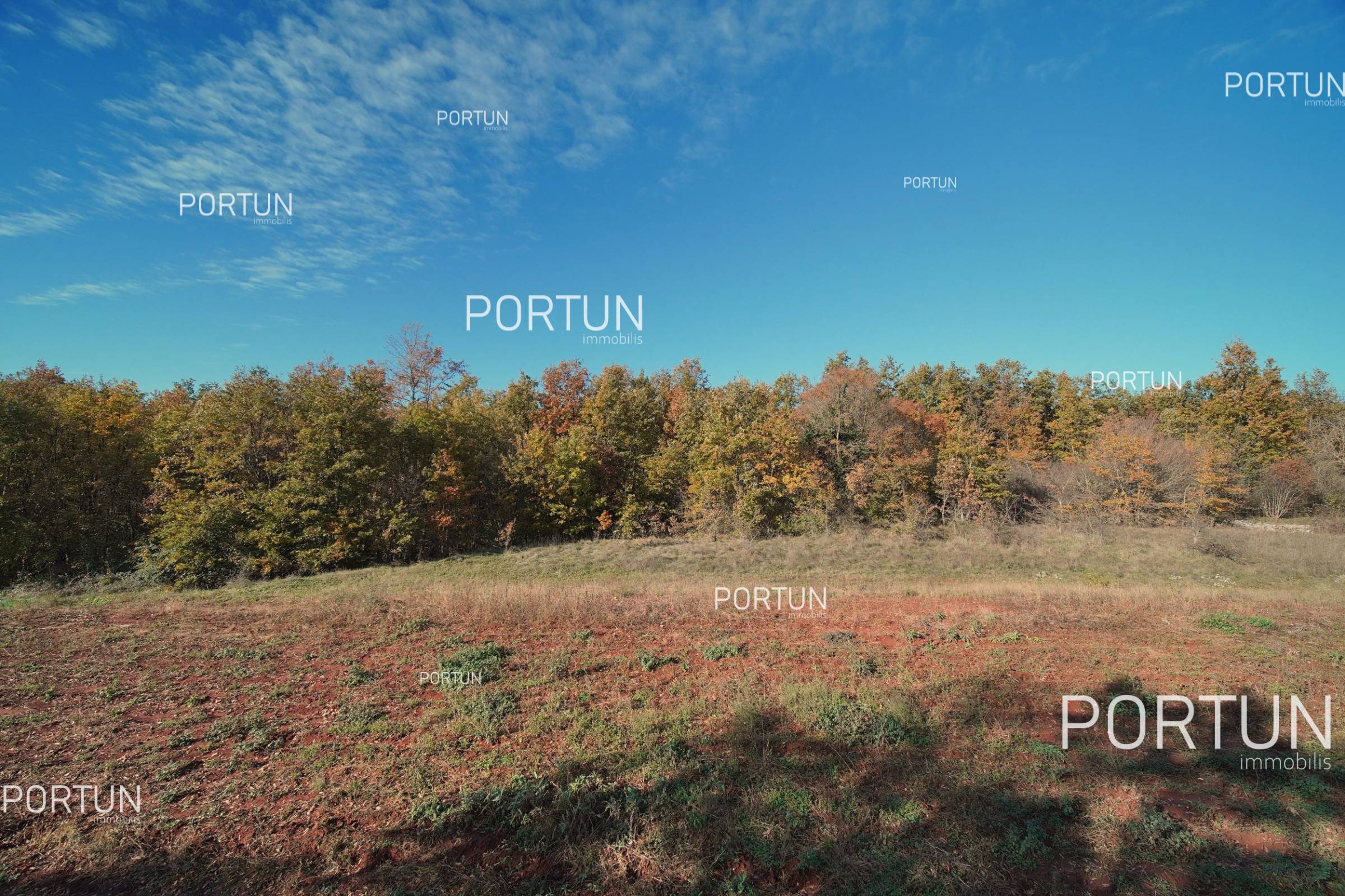 Building plot in the Istrian hinterland 4