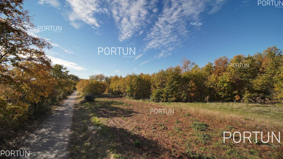 Plot of land for Sale in Žminj - 40534 - 01