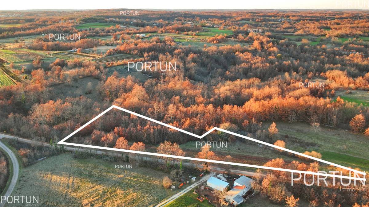 Plot of land for Sale in Žminj - 40534 - 02