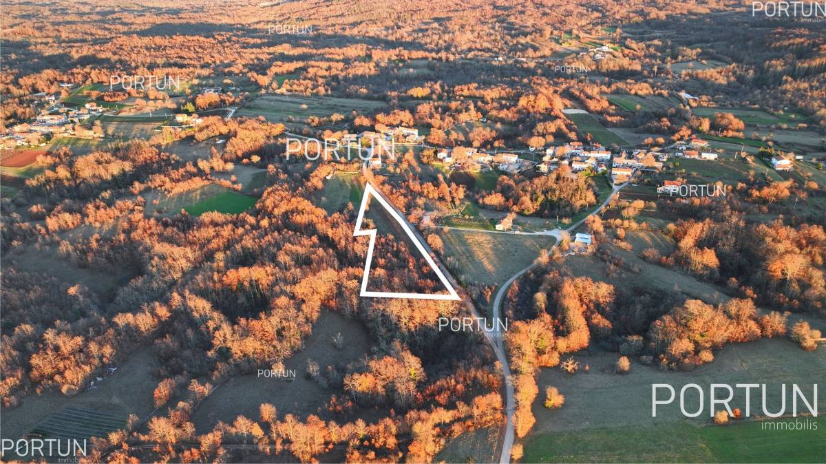 Plot of land for Sale in Žminj - 40534 - 04