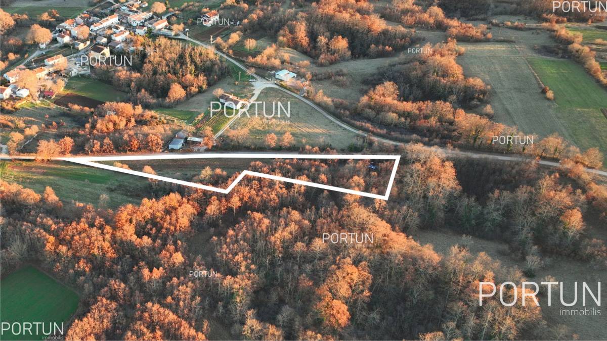 Plot of land for Sale in Žminj - 40534 - 06