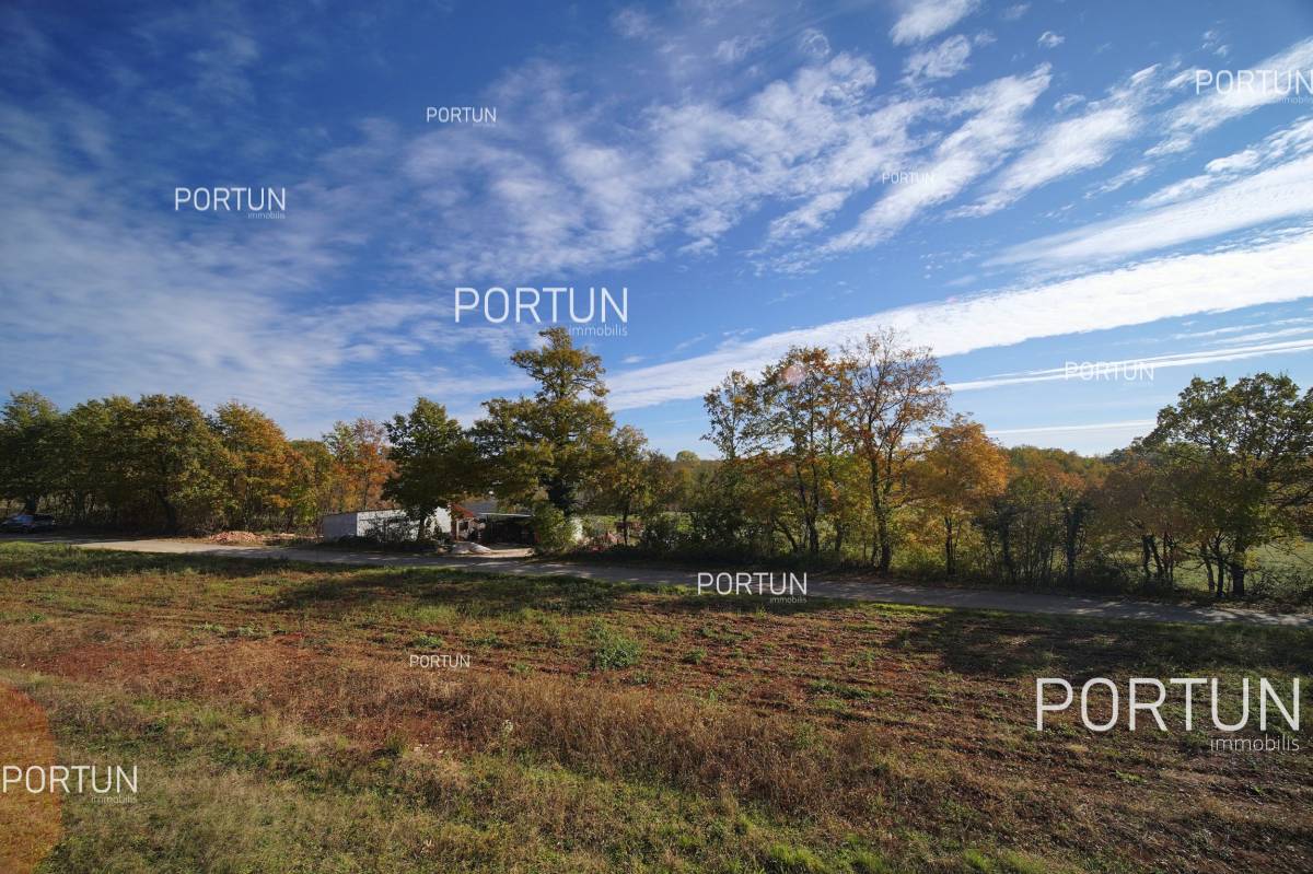 Plot of land for Sale in Žminj - 40534 - 07