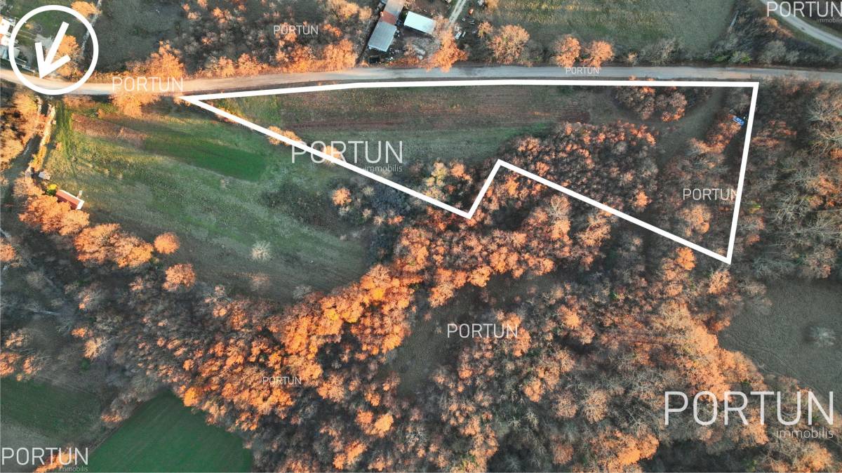 Plot of land for Sale in Žminj - 40534 - 08