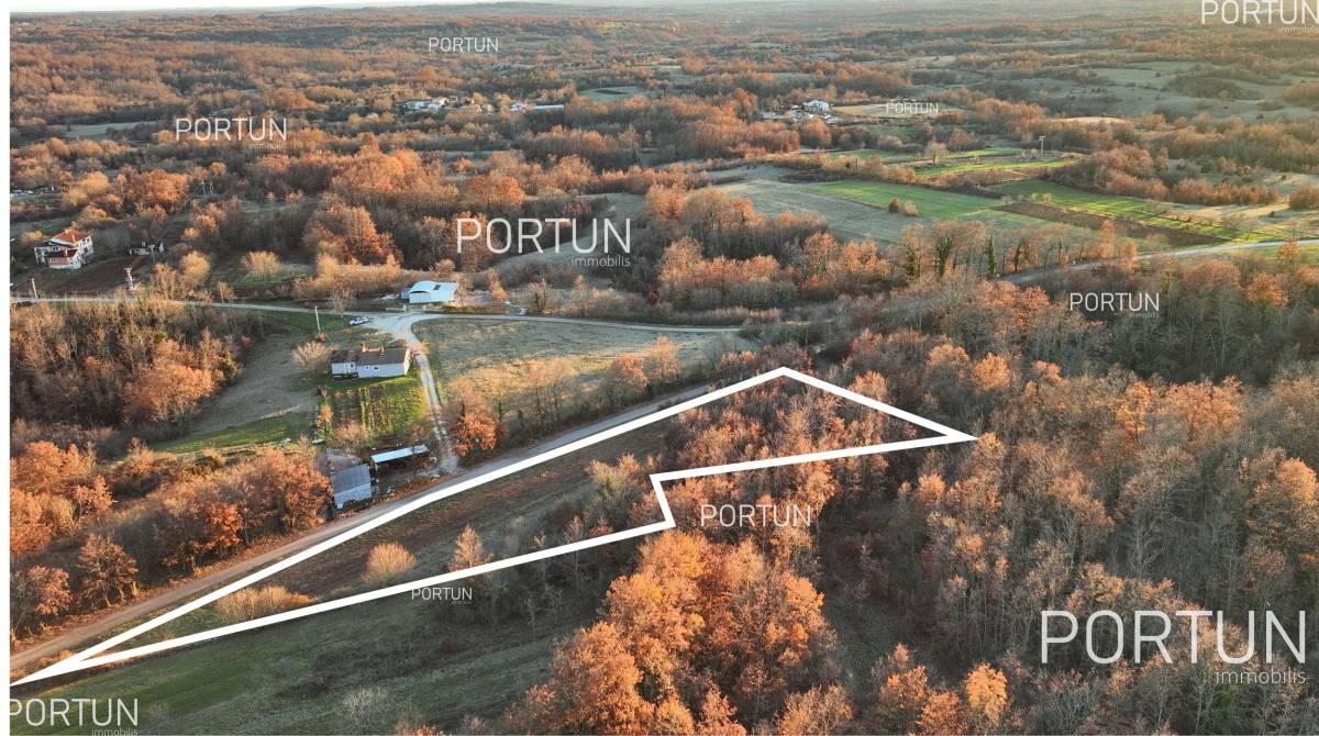 Plot of land for Sale in Žminj - 40534 - 09