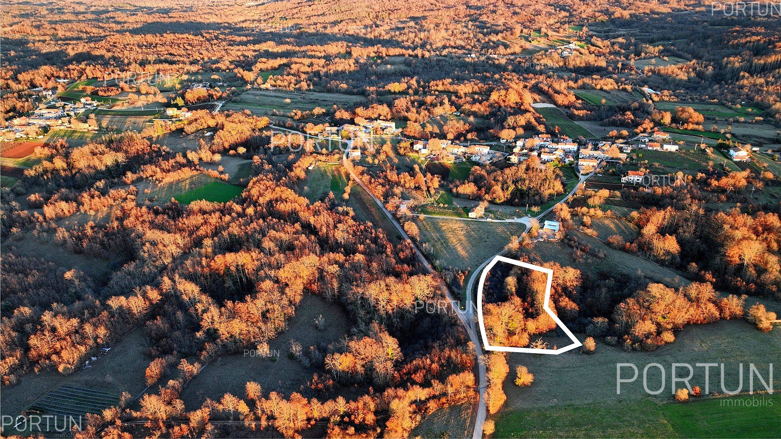 Terreno in vendita a Gimino - 40535 - 01