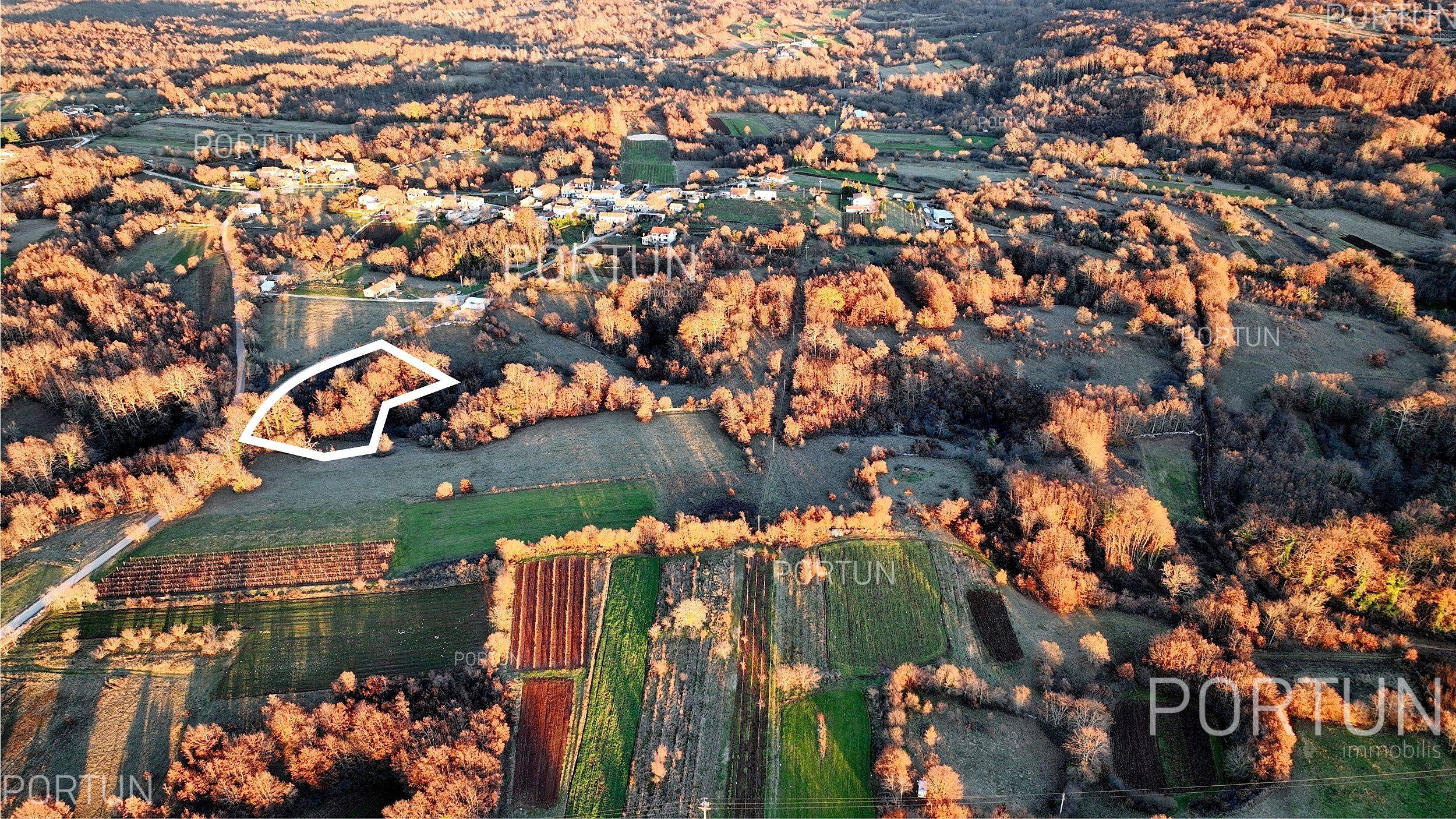 Terreno in vendita a Gimino - 40535 - 02