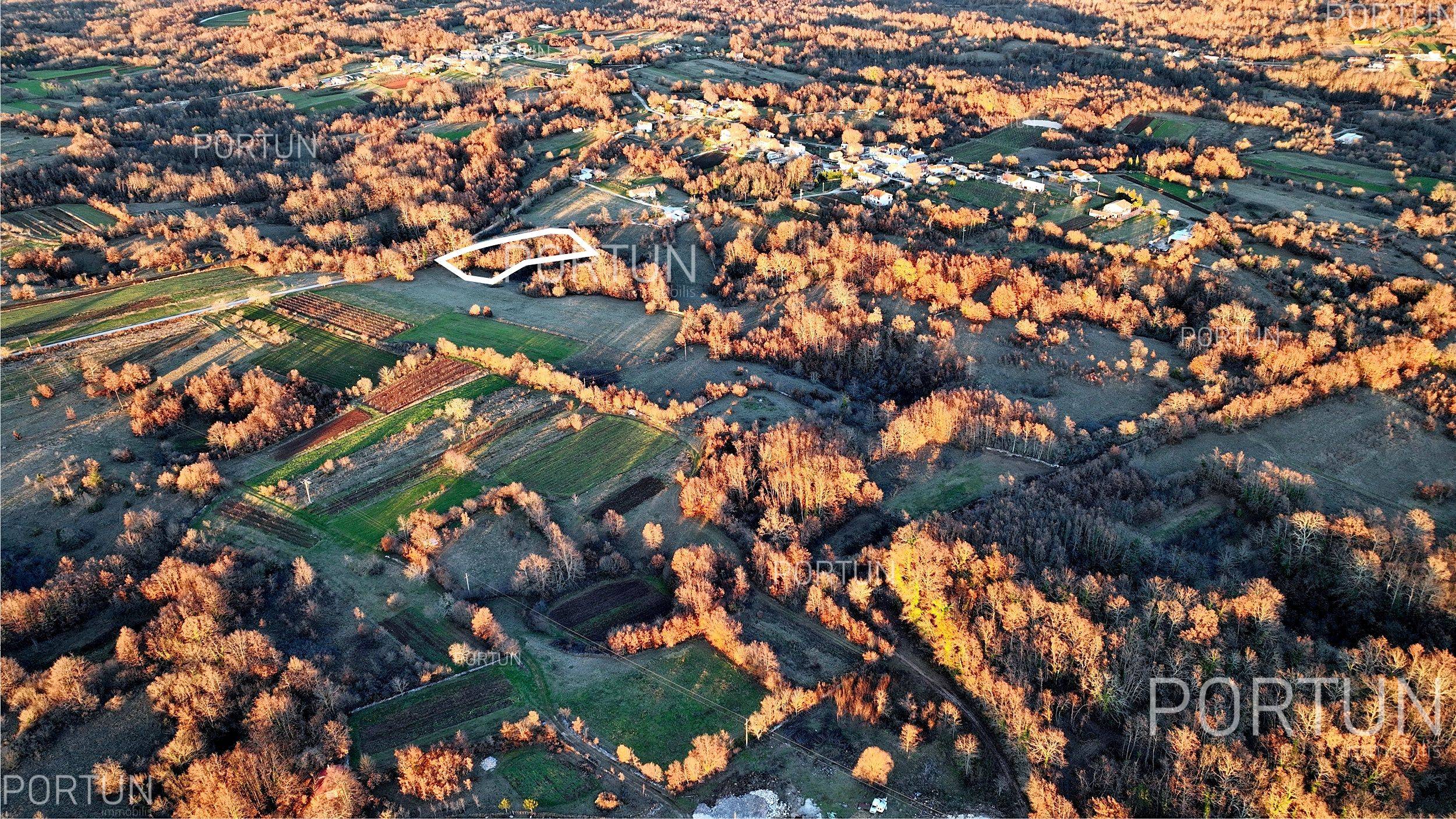Terreno in vendita a Gimino - 40535 - 03