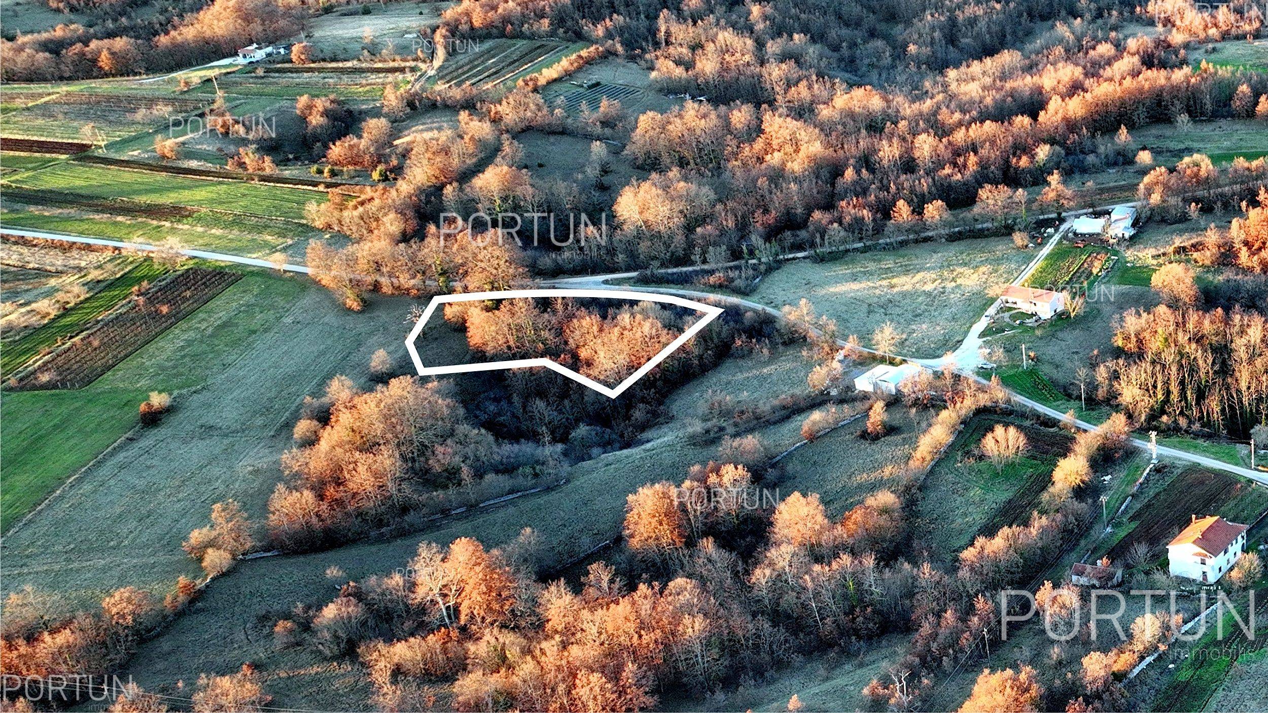 Terreno in vendita a Gimino - 40535 - 04