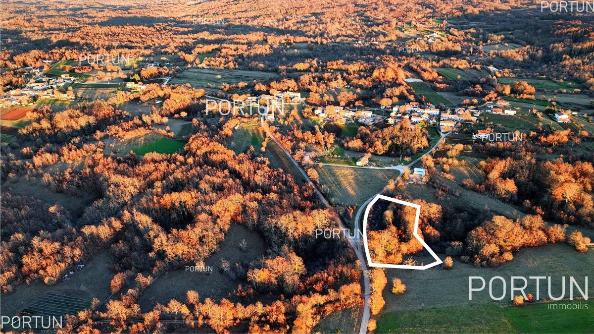 Plot of land for Sale in Žminj - 40535 - 01