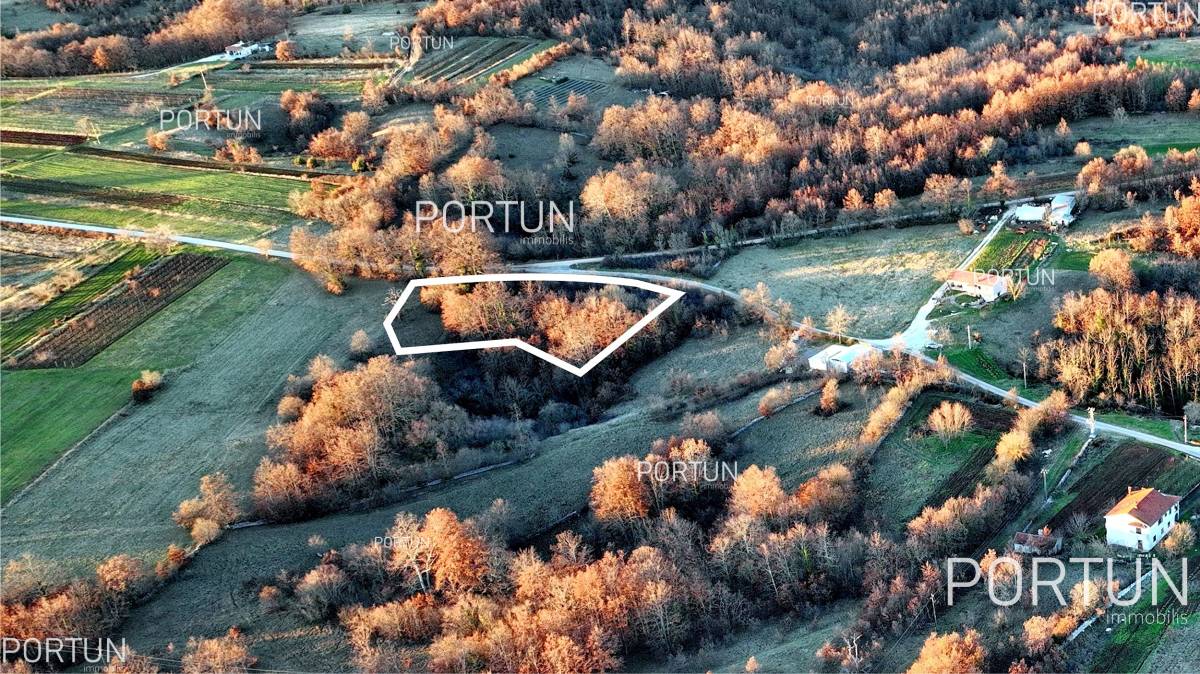 Plot of land for Sale in Žminj - 40535 - 04