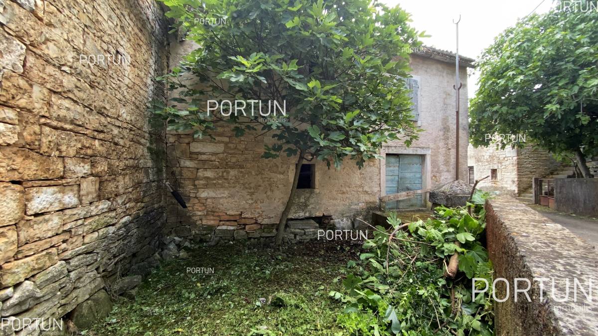 House for Sale in Pazin - 20824 - 01