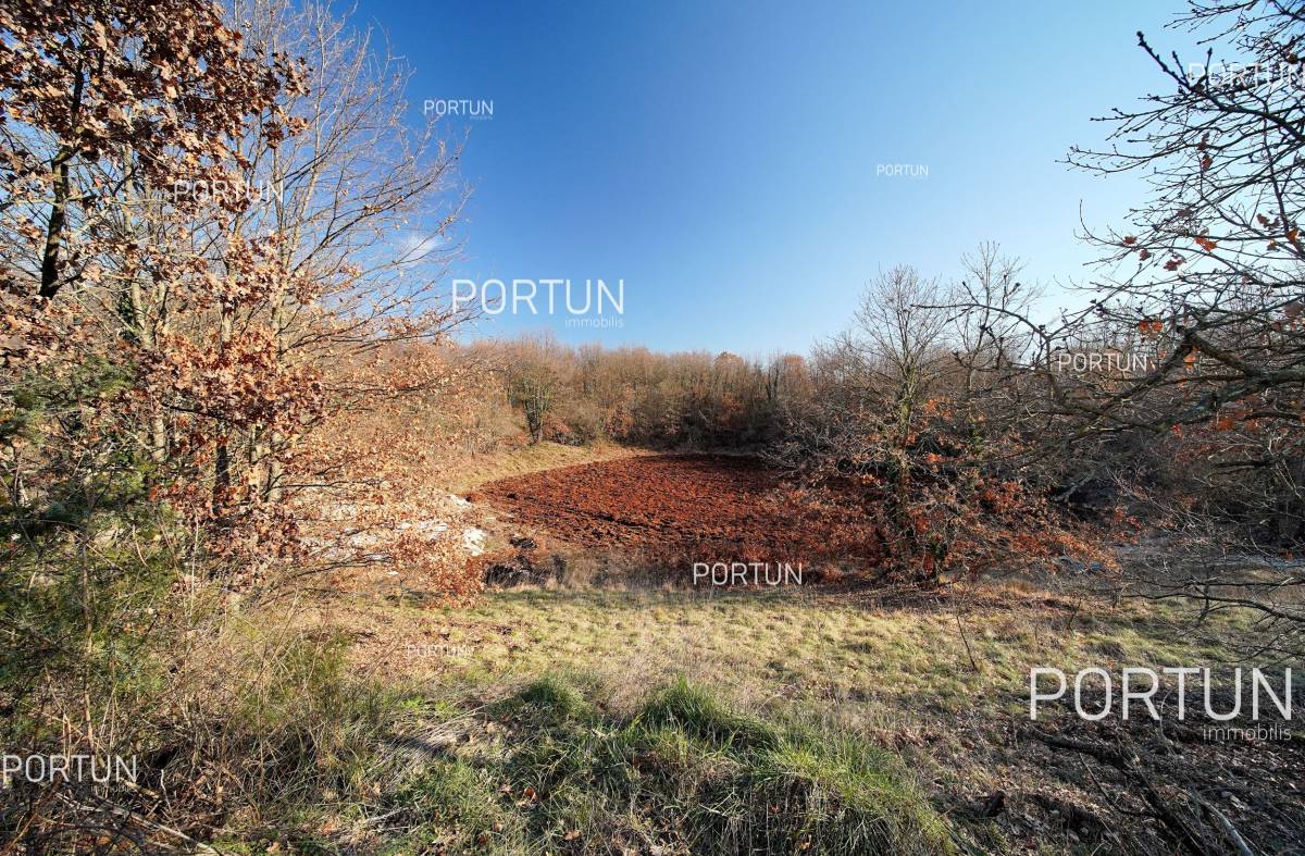 Zemljište na prodaju Svetvinčenat - 40548 - 11