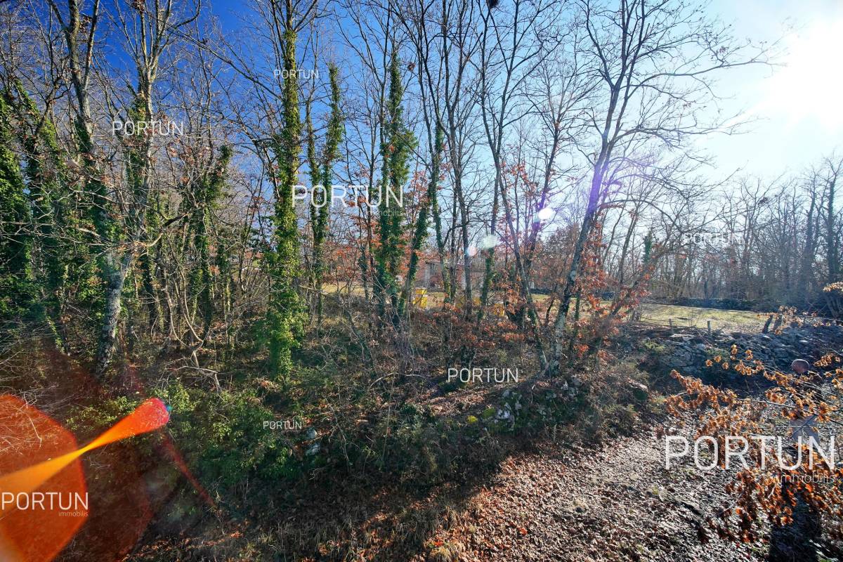 Grundstück zum Verkauf in Žminj - 40541 - 09