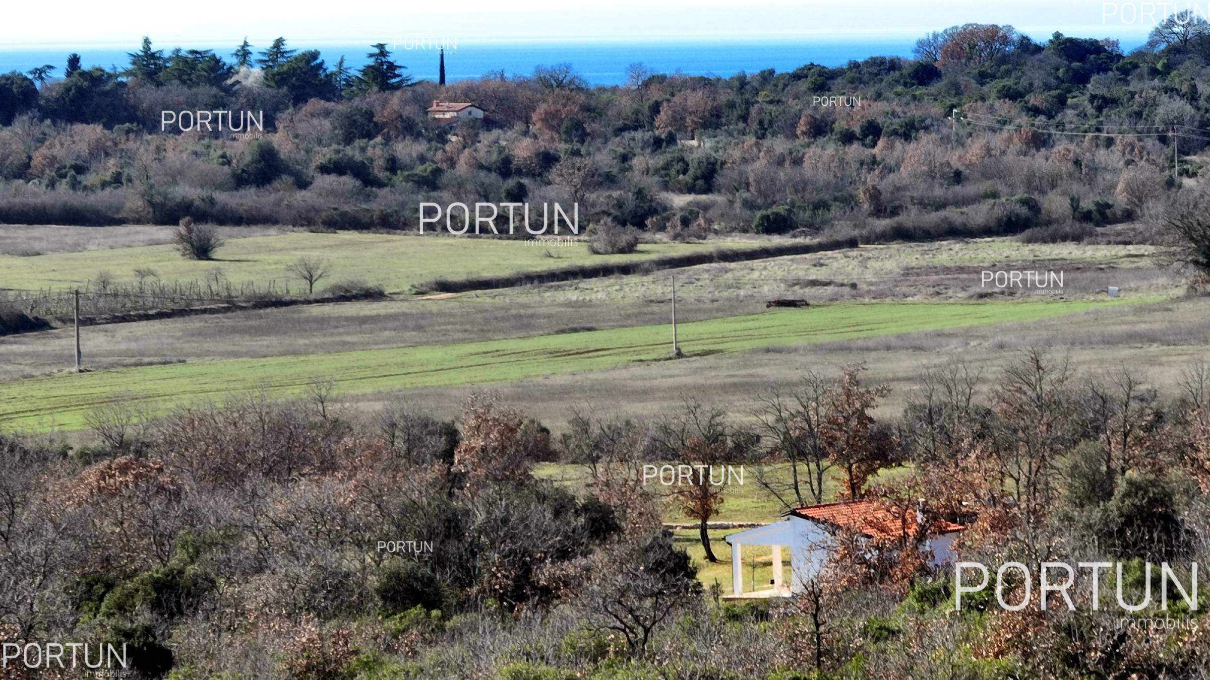 Rovinj, maslinik sa kućicom	 1
