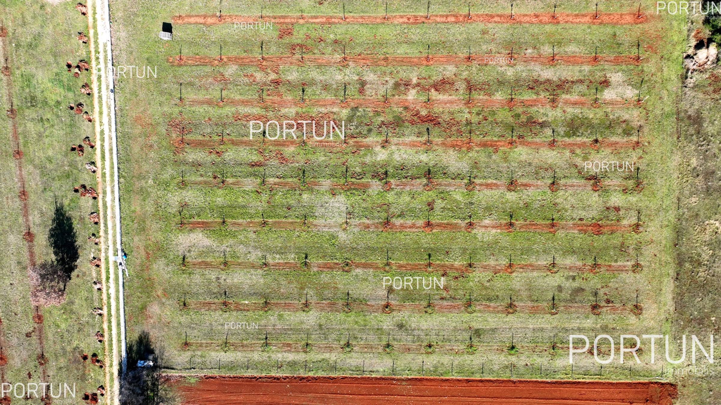 Kuća na prodaju Rovinj - 20830 - 08