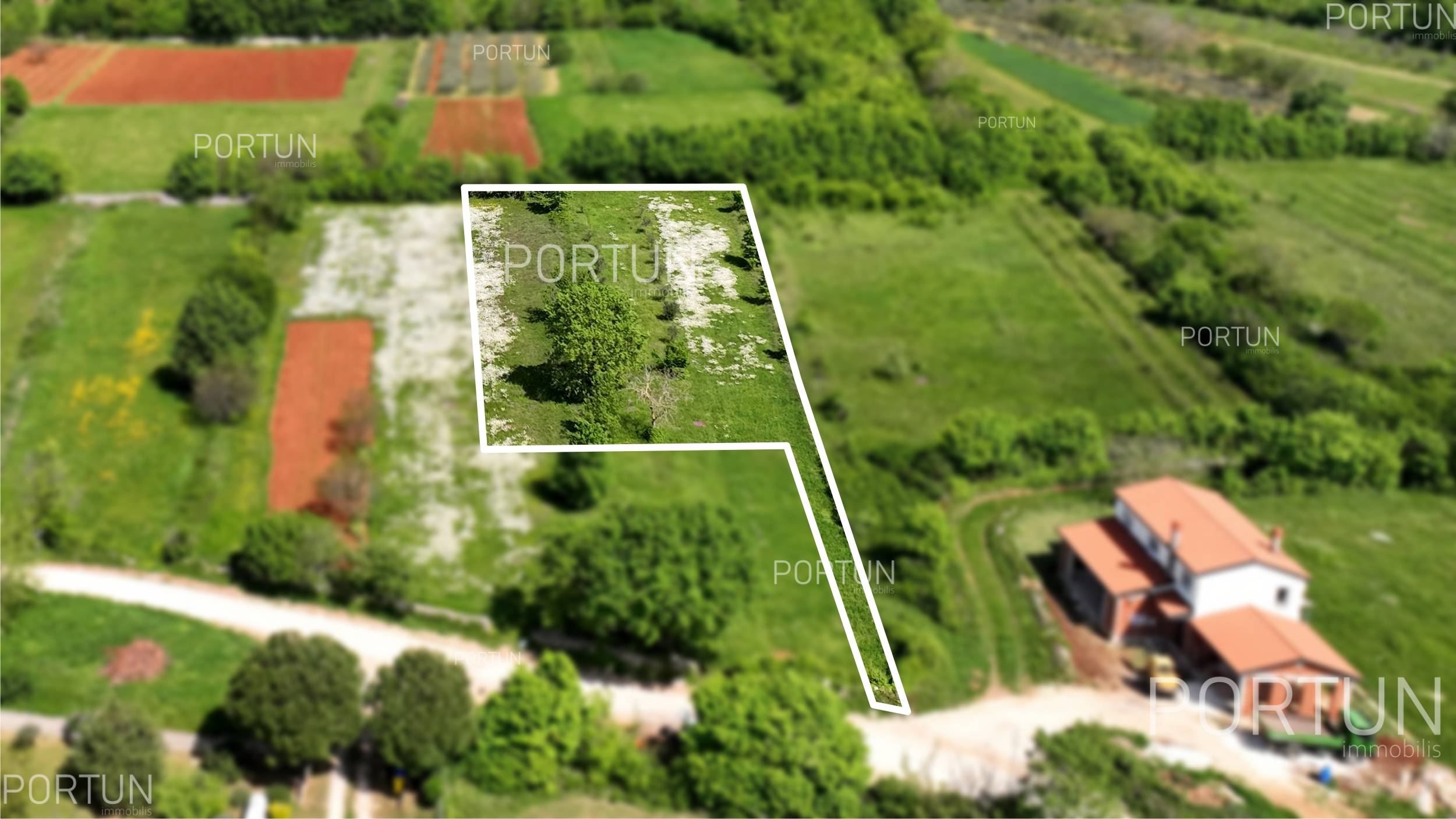 Terreno in vendita a Canfanaro - 40550 - 03