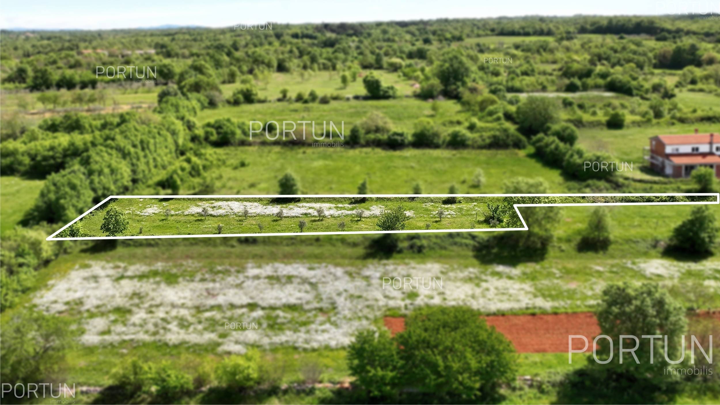 Terreno in vendita a Canfanaro - 40550 - 02