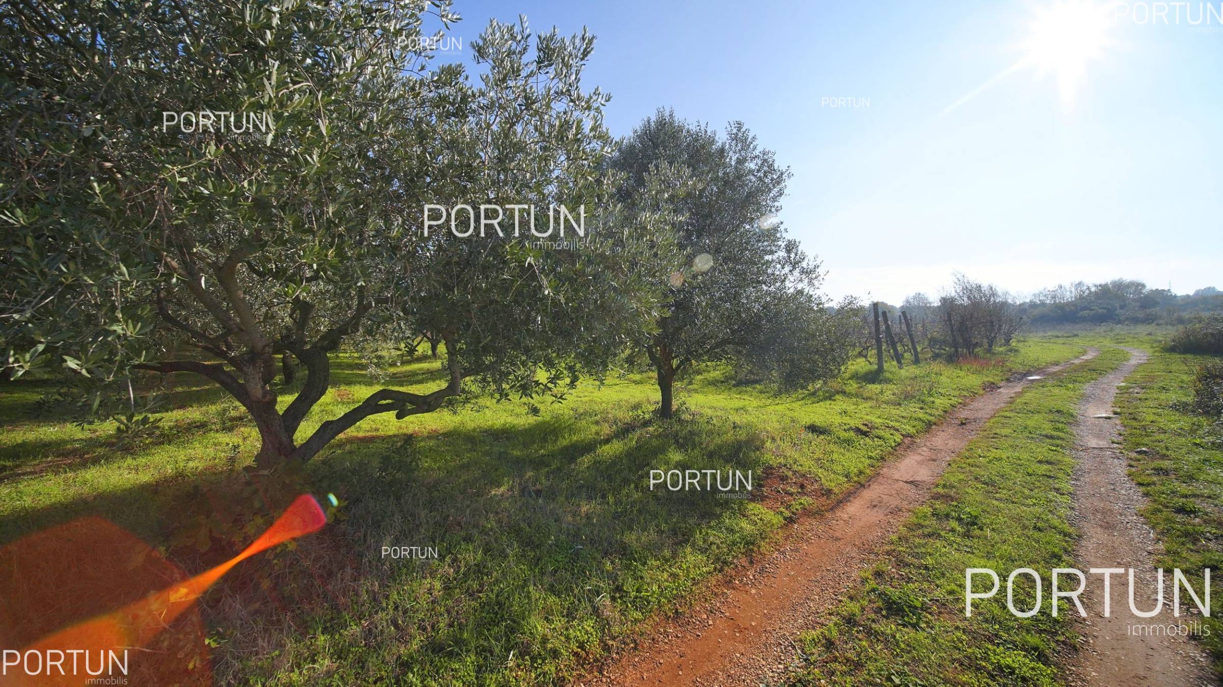 Terreno in vendita a Rovigno - 40556 - 12