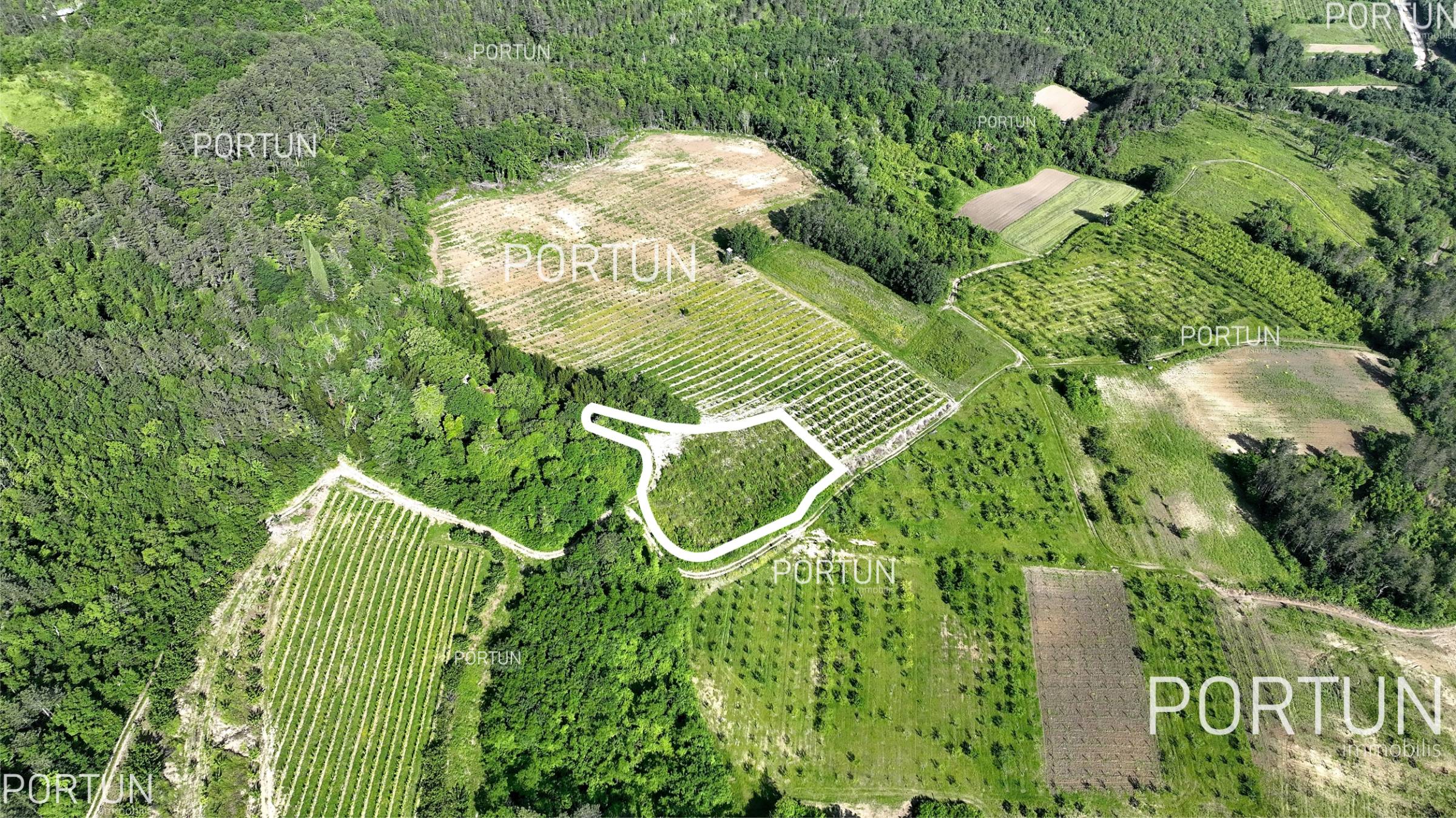 Zemljište na prodaju Motovun - 40562 - 03