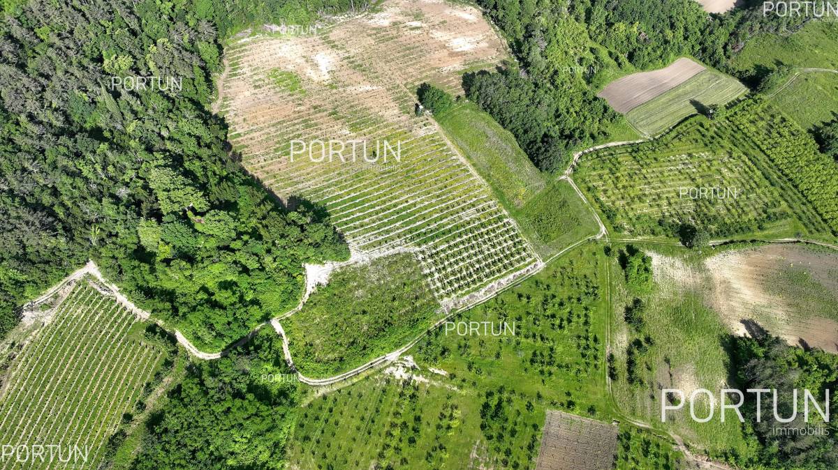 Zemljište na prodaju  - 40562 - 01