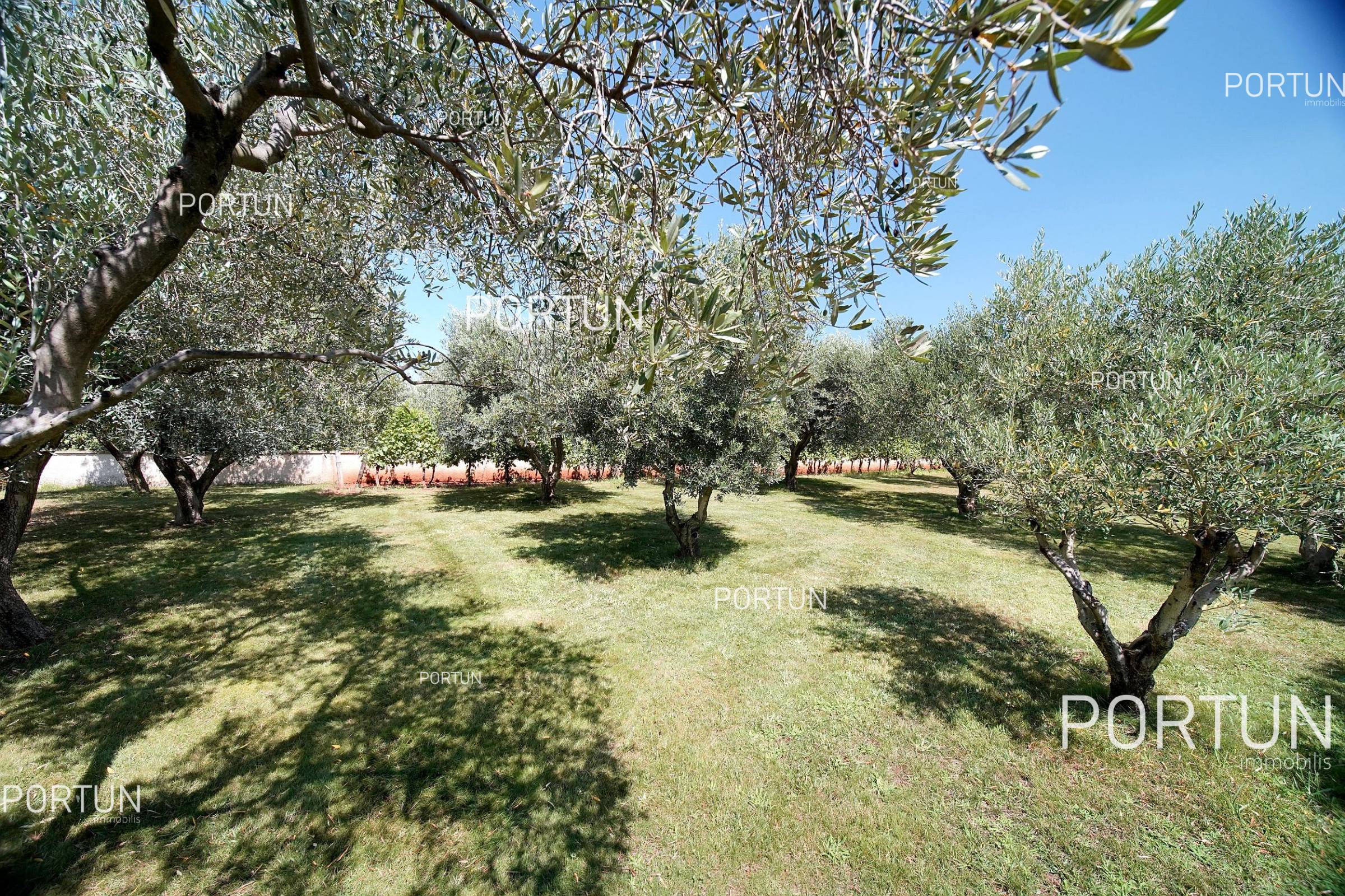 Casa in vendita a  - 20878 - 07