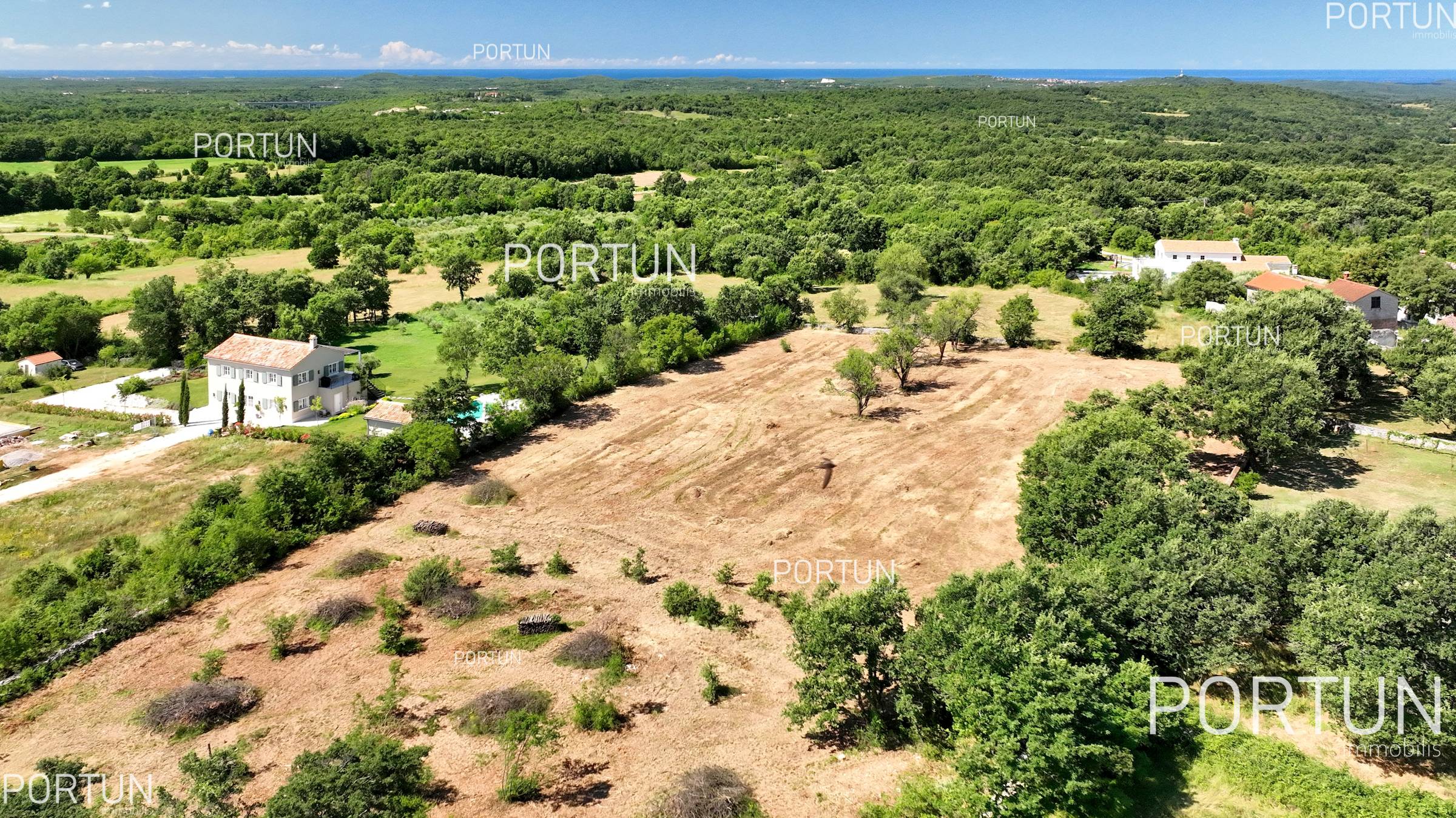 Terreno in vendita a Canfanaro - 40569 - 03