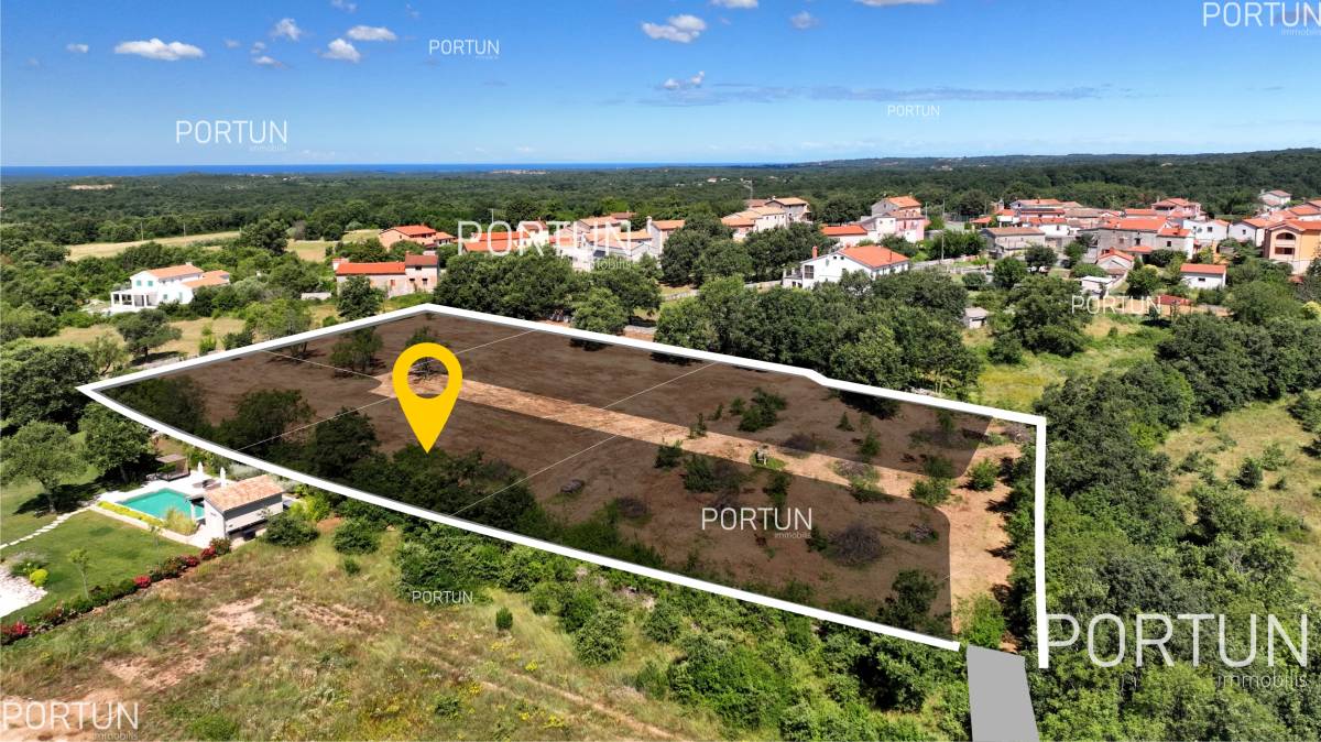 Terreno in vendita a Canfanaro - 40570 - 01