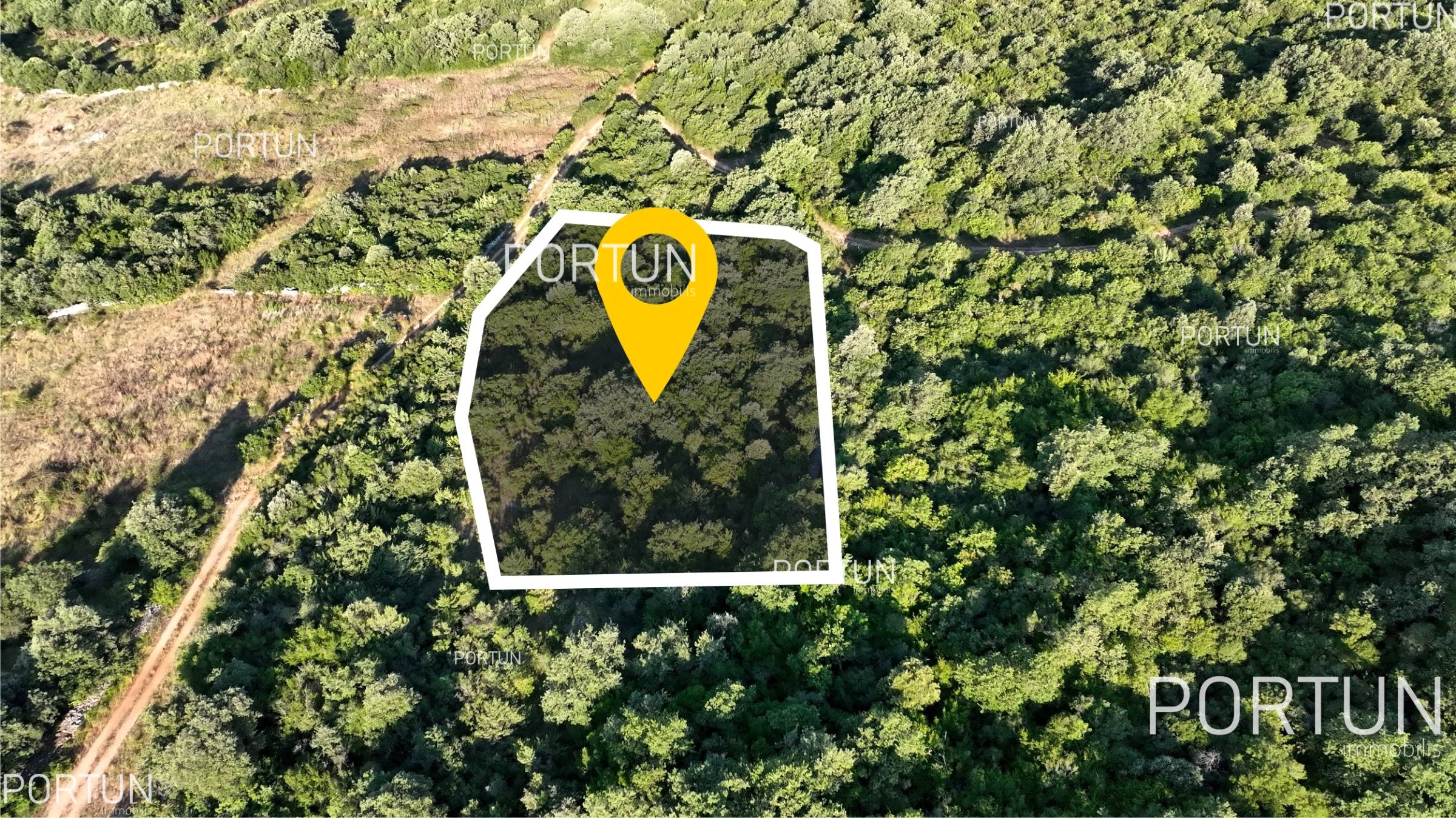 Rovinj, Forest land for sale 1