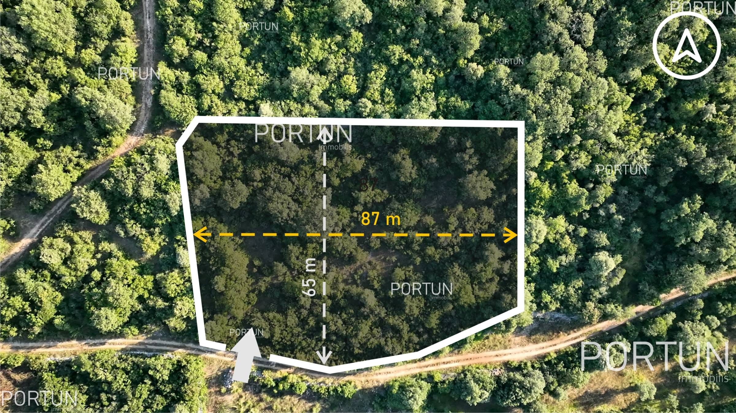 Rovinj, Forest land for sale 2