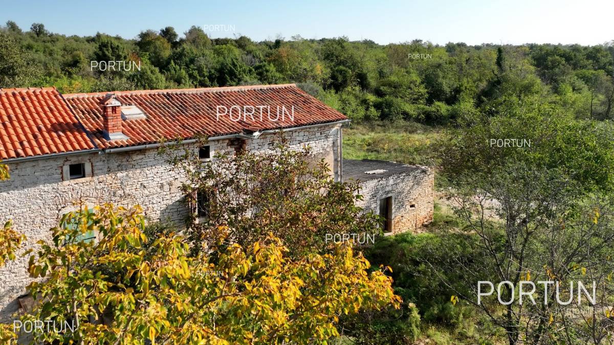 House for Sale in Sveti Lovreč - 20871 - 02