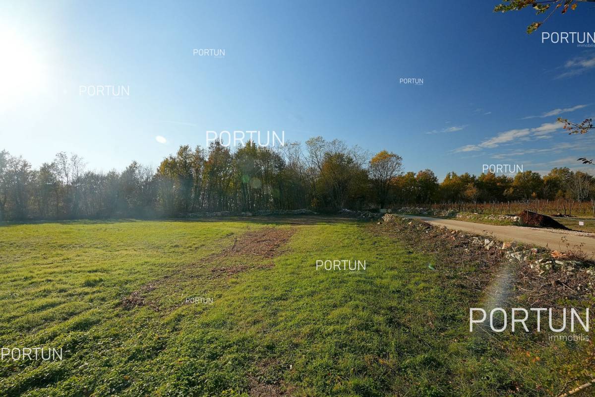 Plot of land for Sale in Žminj - 40590 - 06