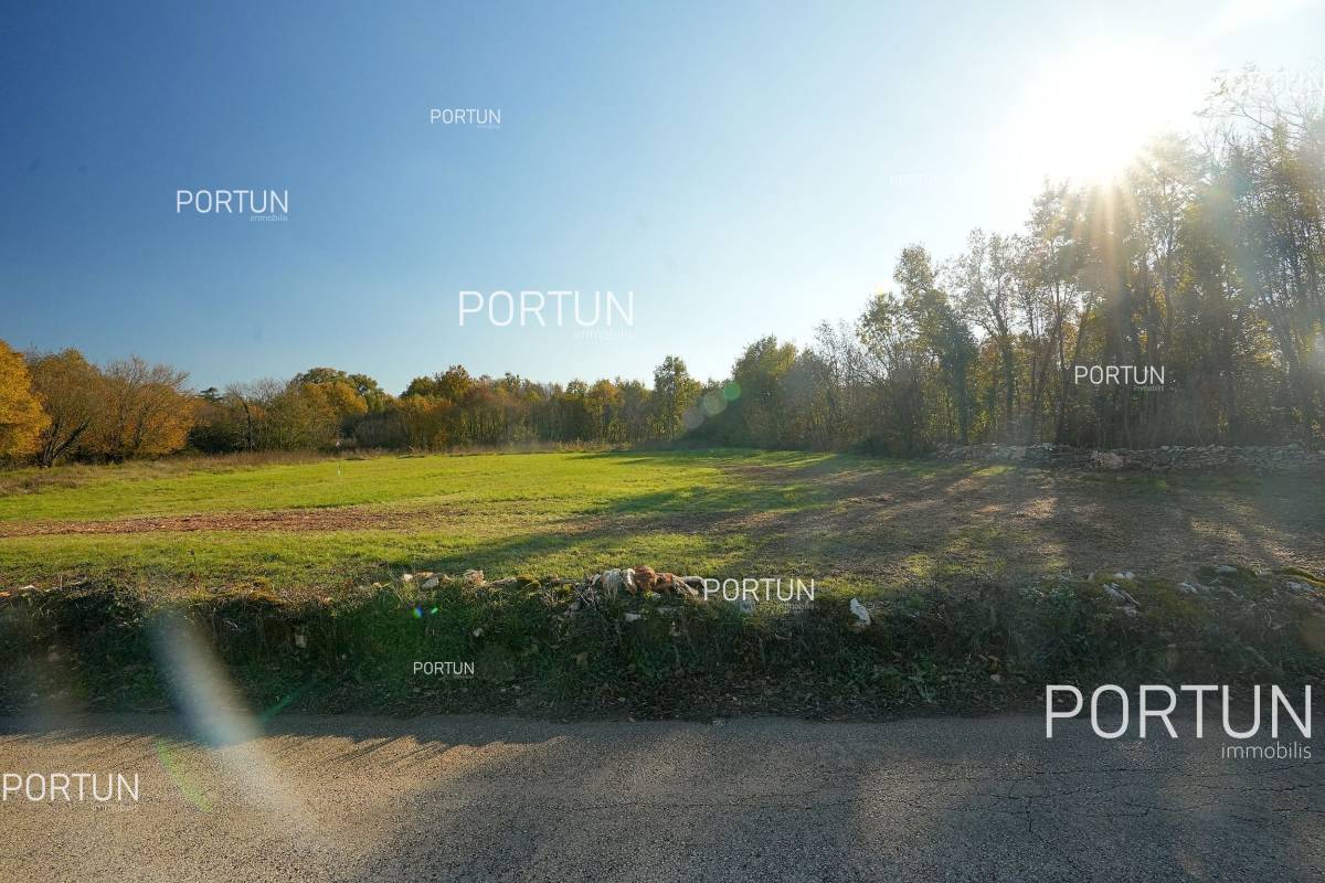 Plot of land for Sale in Žminj - 40590 - 07