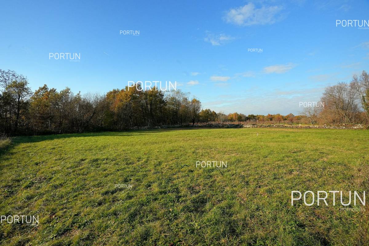 Plot of land for Sale in Žminj - 40590 - 10