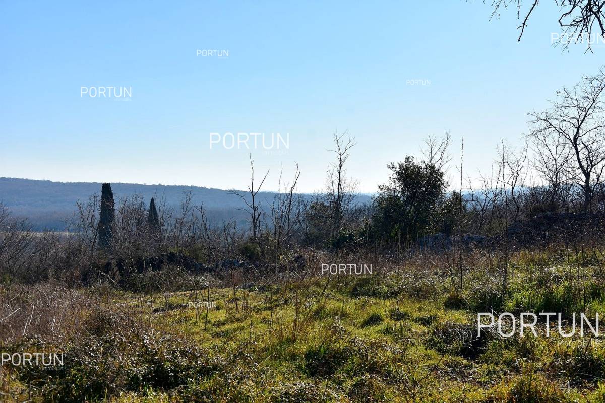 Zemljište na prodaju Sveti Lovreč - 40591 - 04