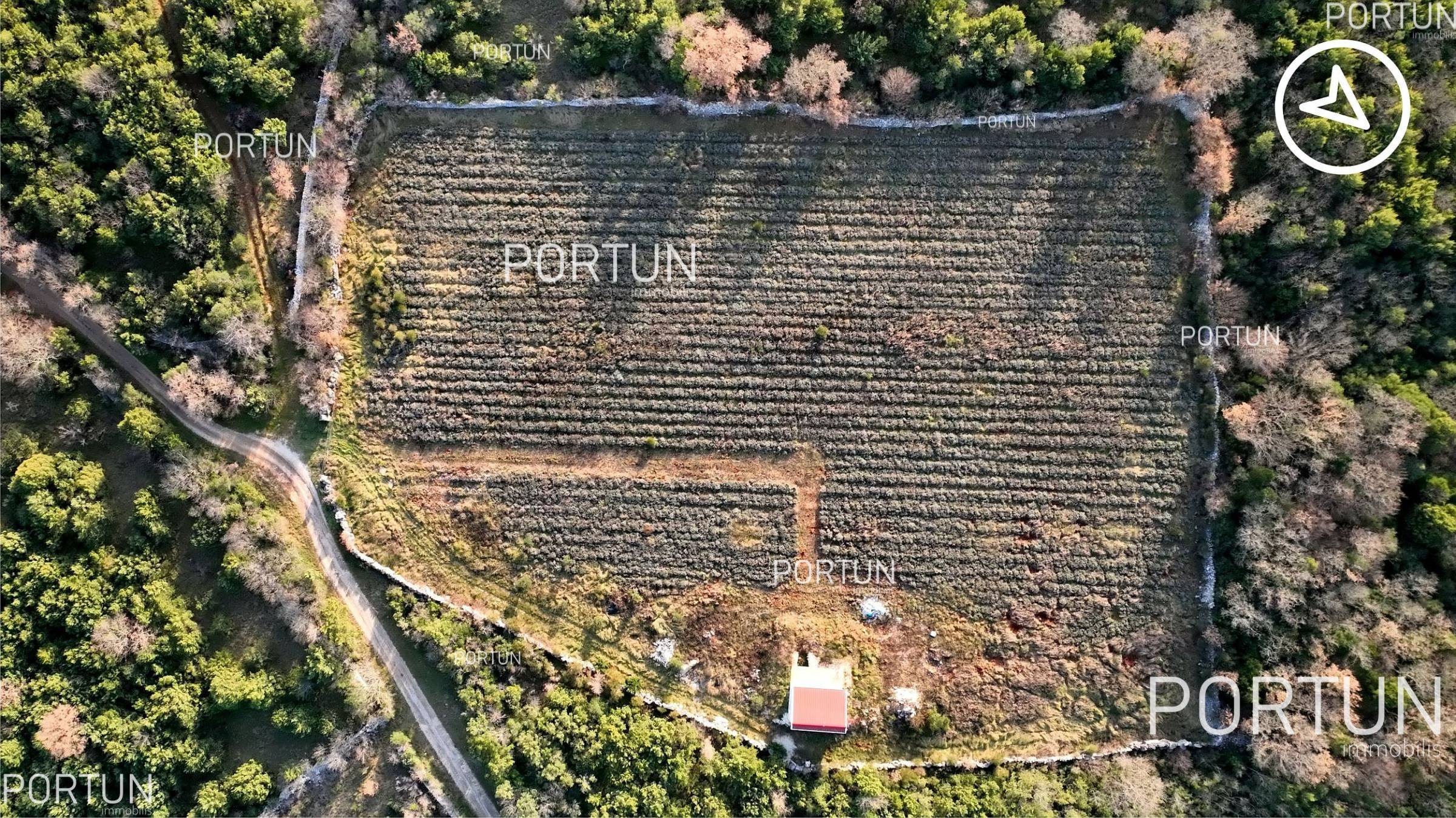Zemljište na prodaju Rovinj - 40593 - 08