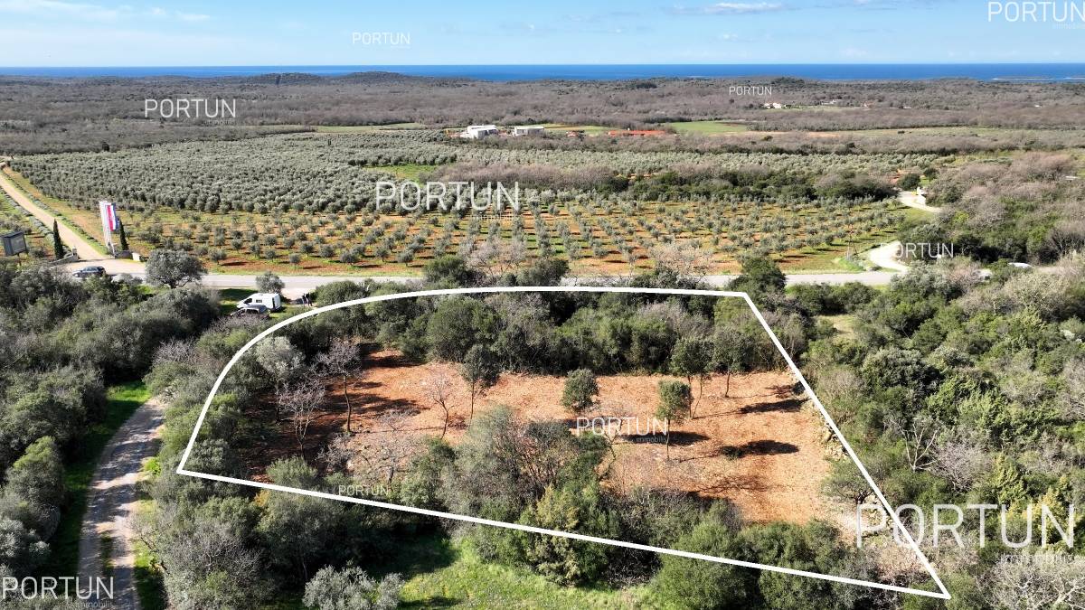 Building land Bale Cubani Z0763 003