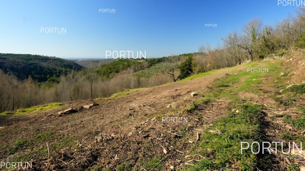 Zemljište na prodaju Grožnjan - 40597 - 01