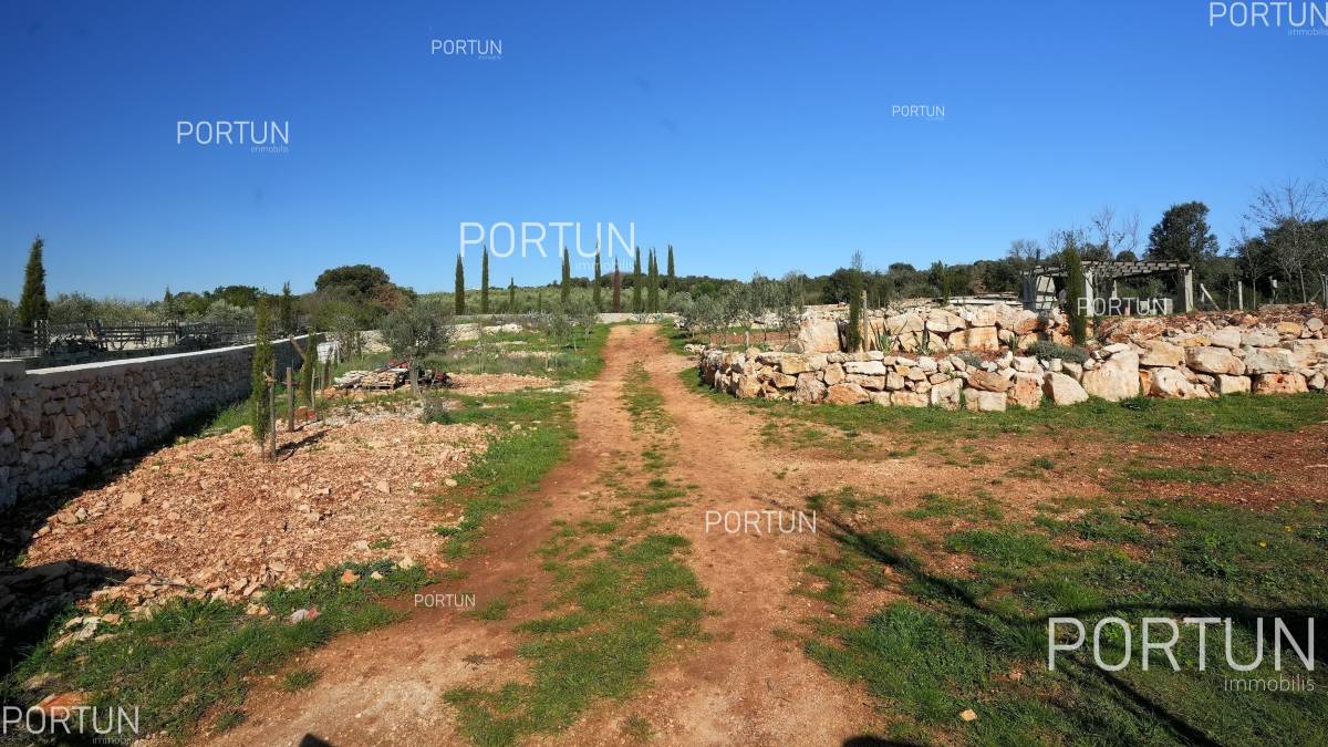 Telket   - 40599 - 01