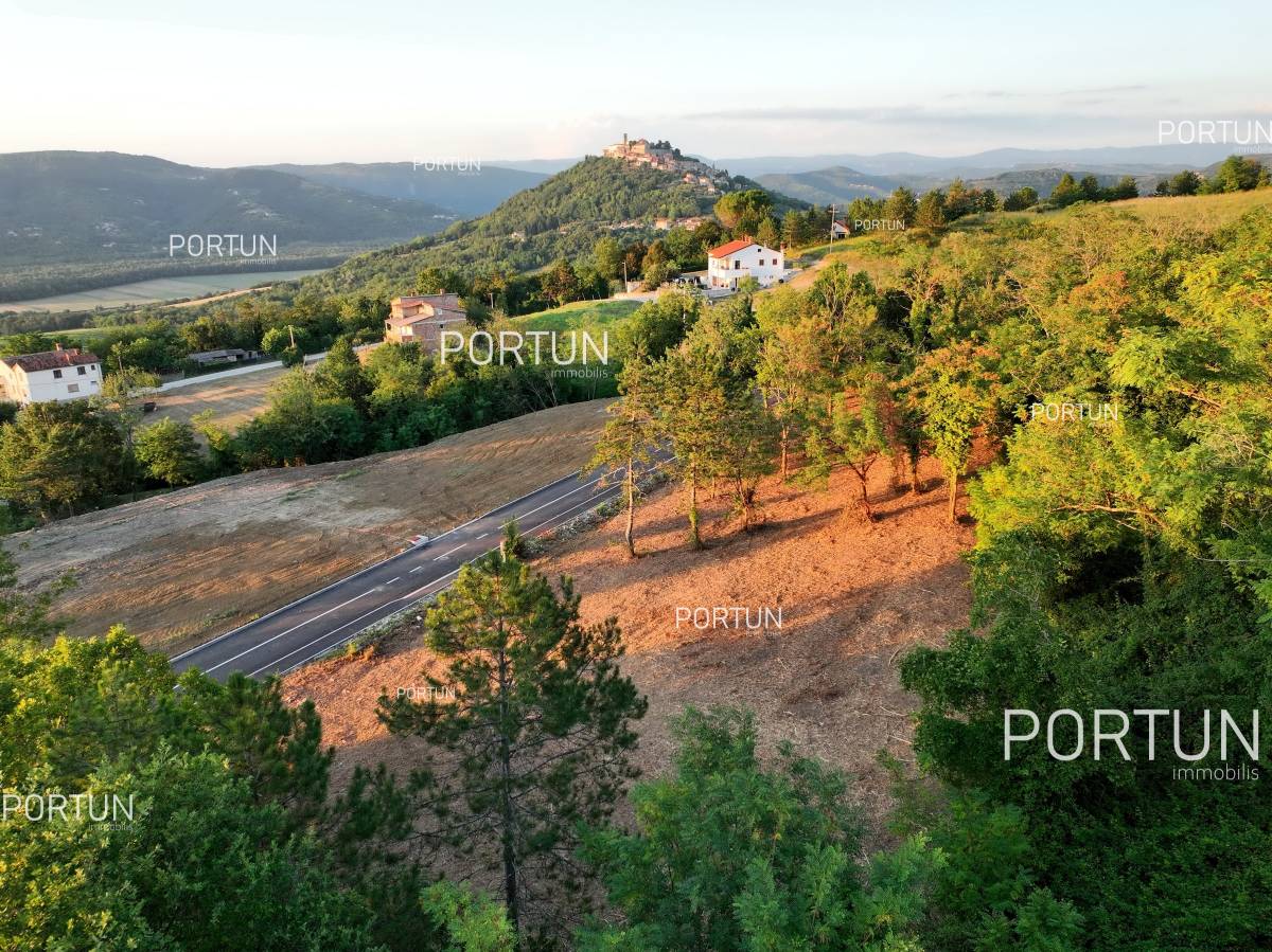Motovun Land for Sale 0780 34