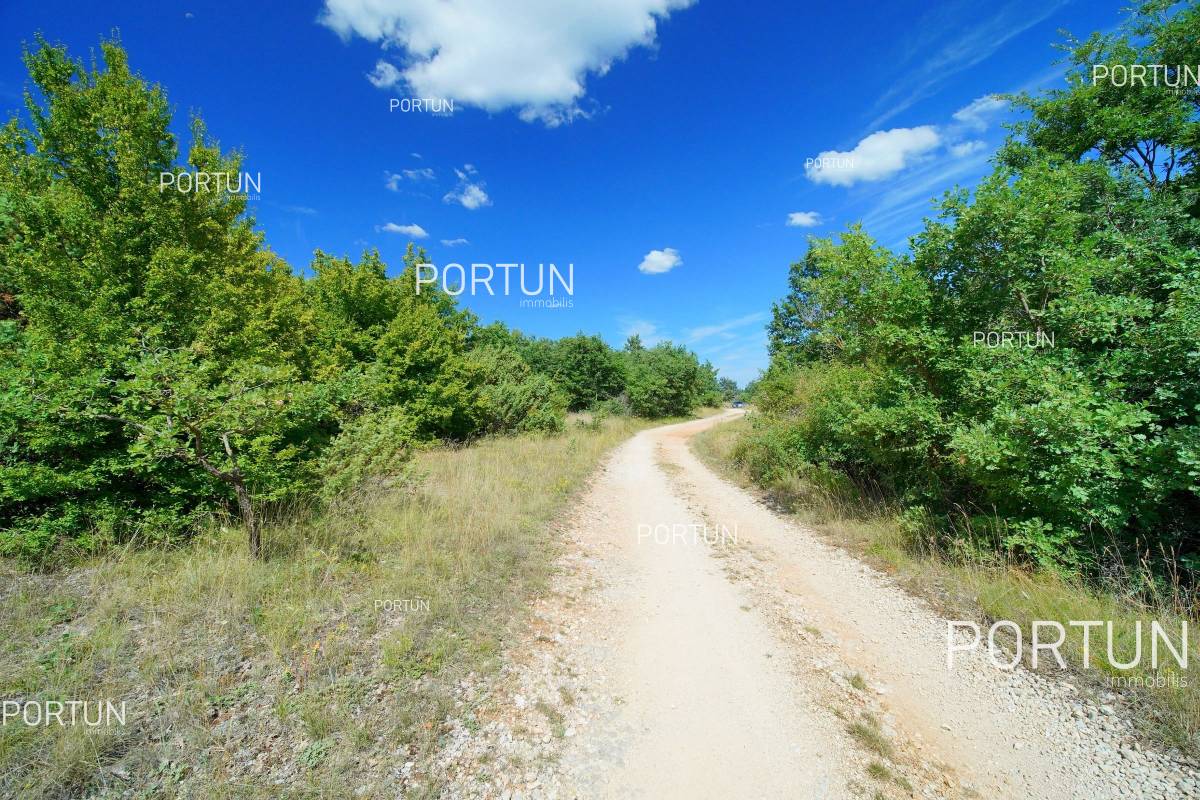 Land in the central Istria Z 0785 01