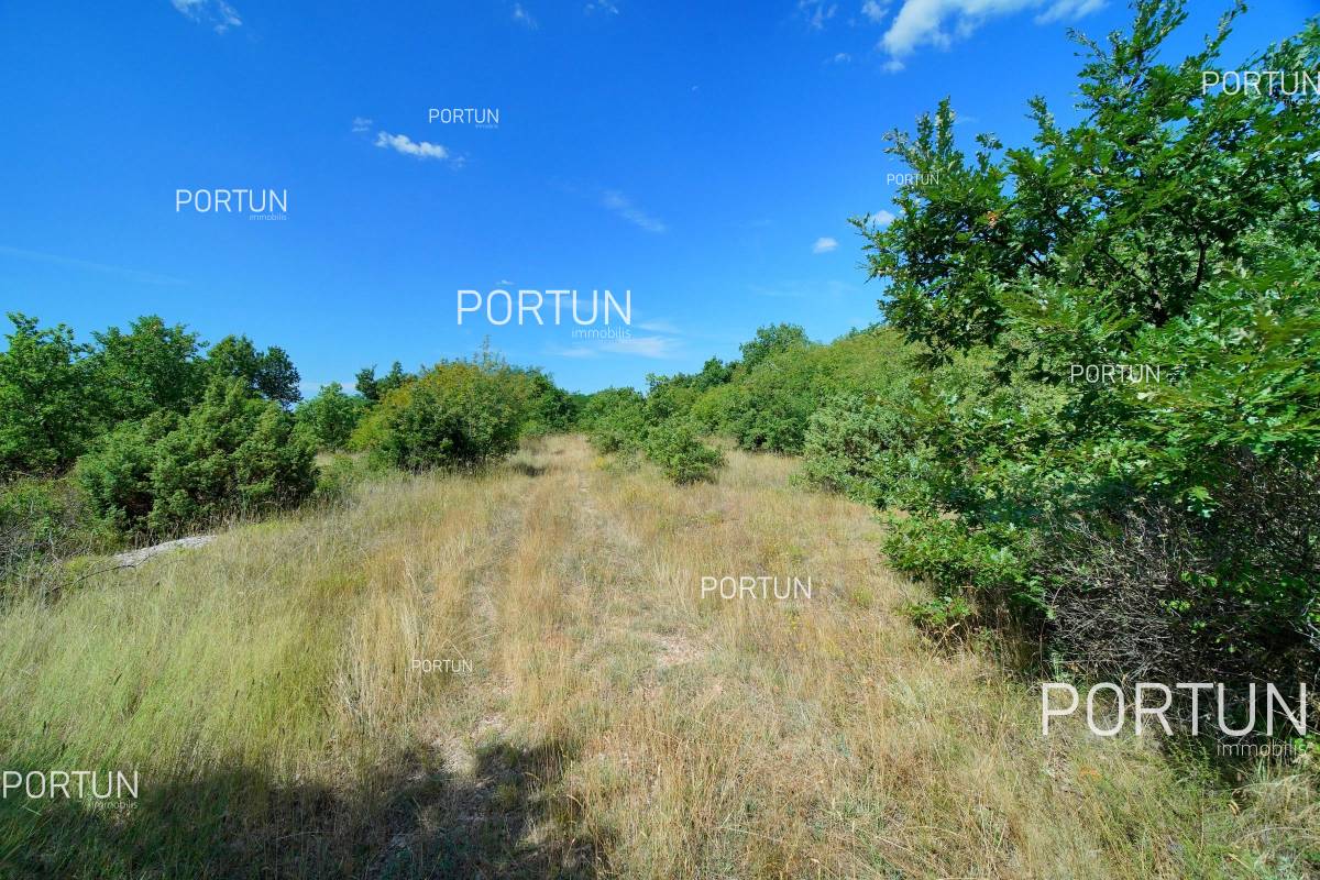 Zemljište na prodaju Svetvinčenat - 40641 - 01