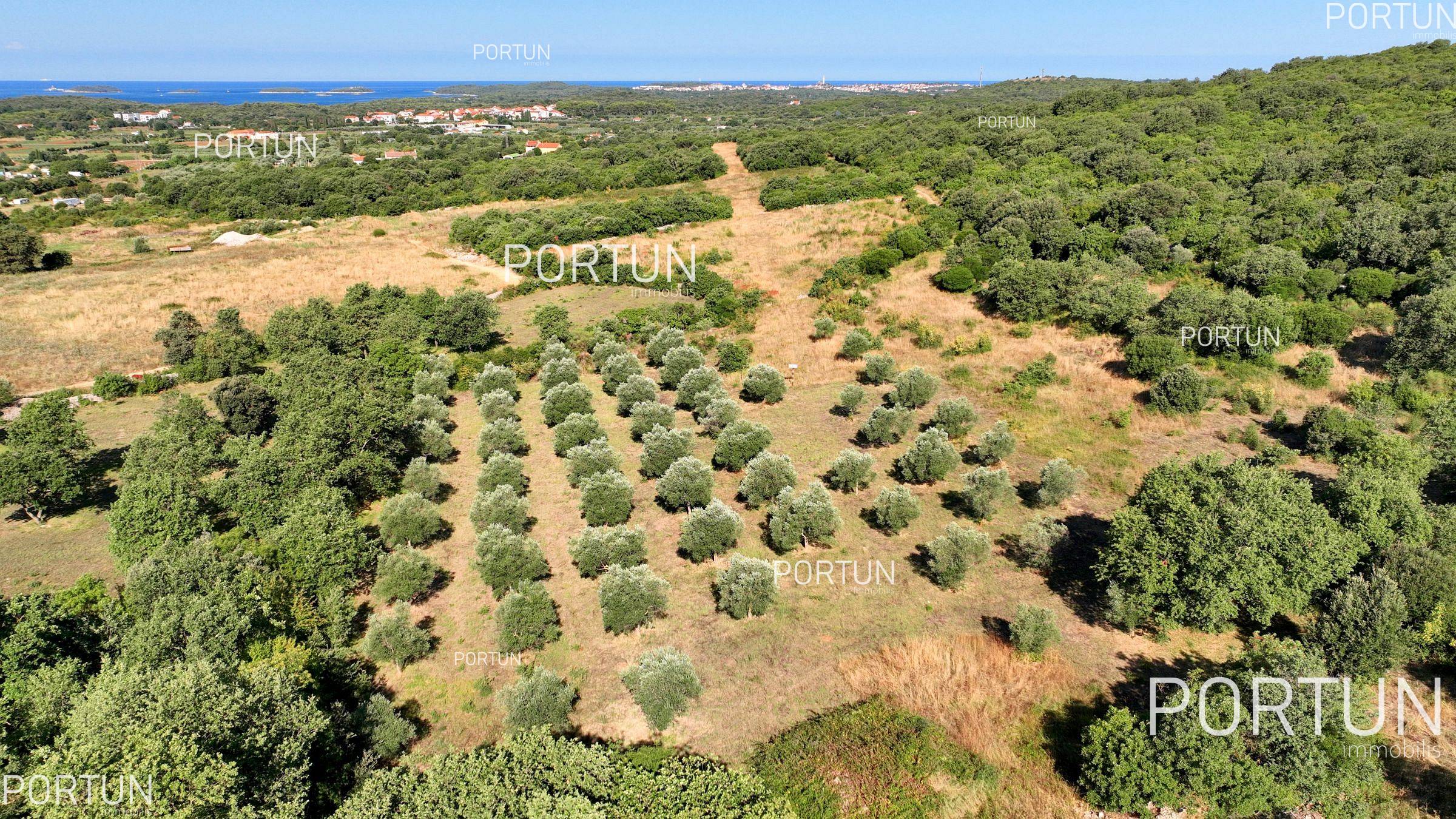 Terreno in vendita a Rovigno - 40642 - 01