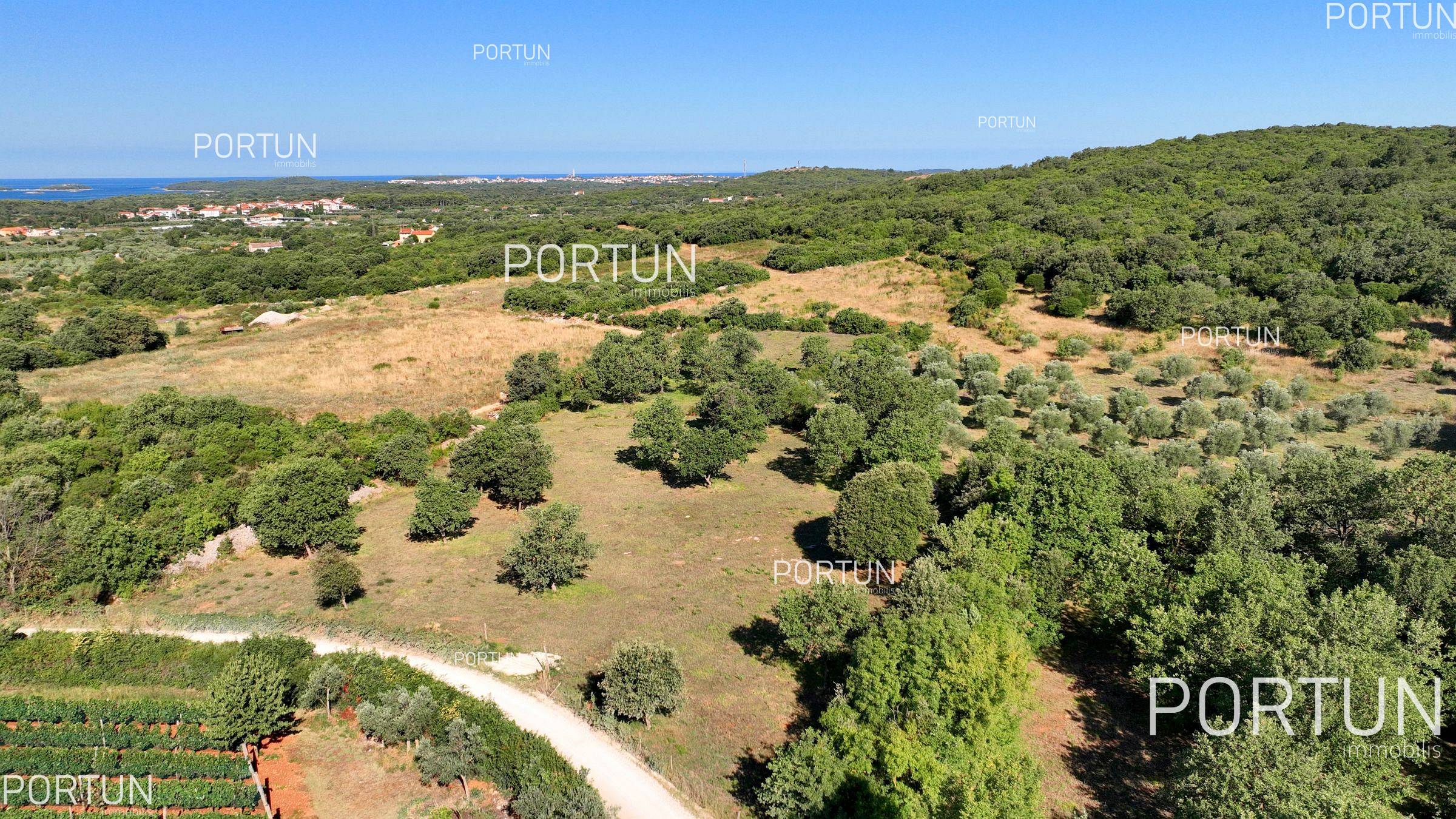 Terreno in vendita a Rovigno - 40642 - 02