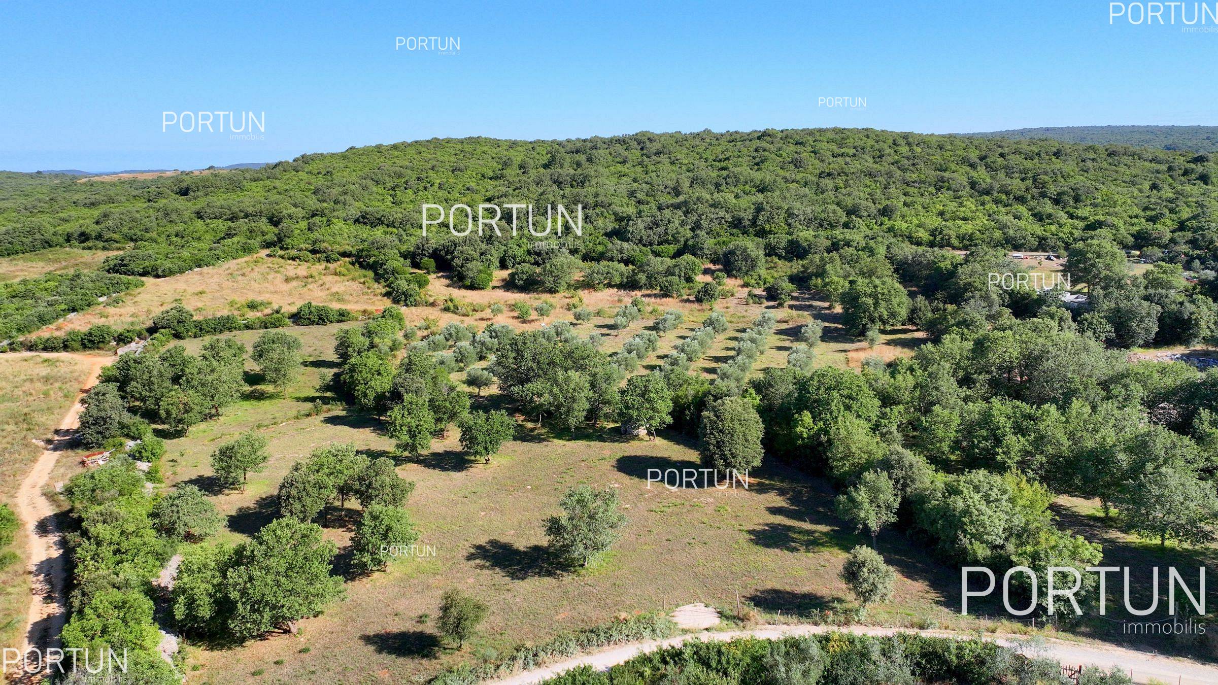 Terreno in vendita a Rovigno - 40642 - 03